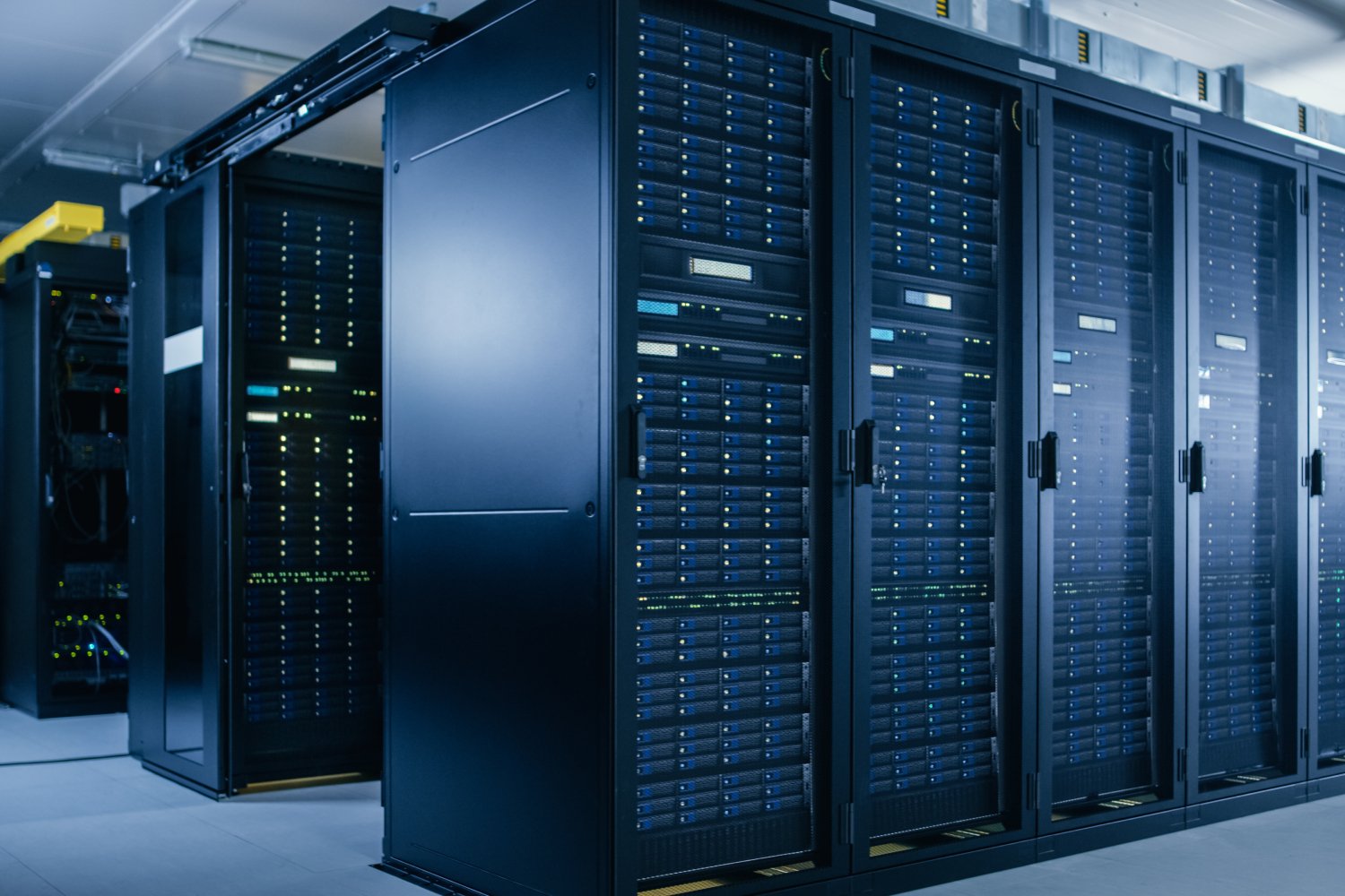 © Gorodenkoff / Shutterstock