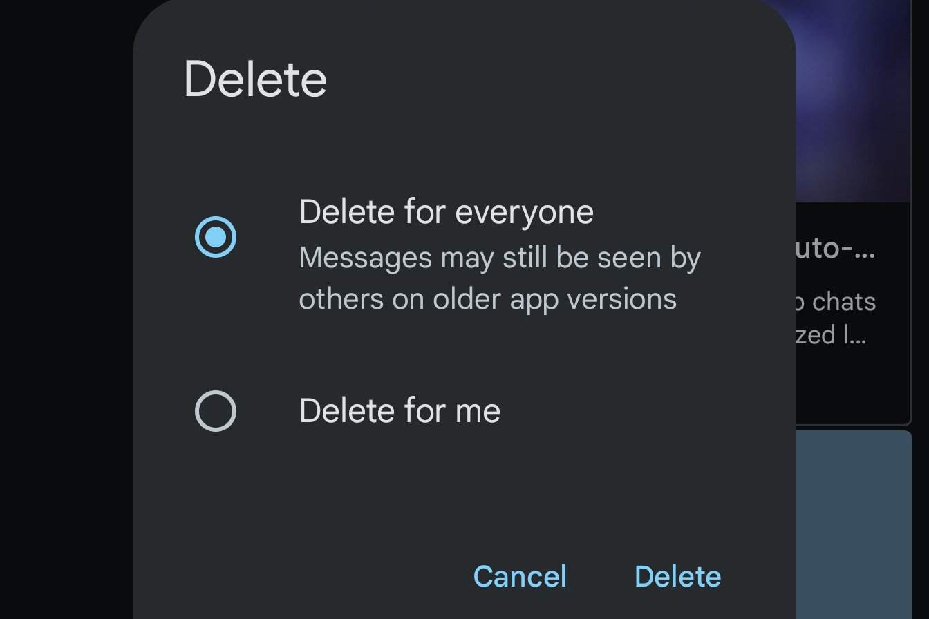 L'option « Supprimer pour tous » dans Google Messages © seeareeff / Reddit