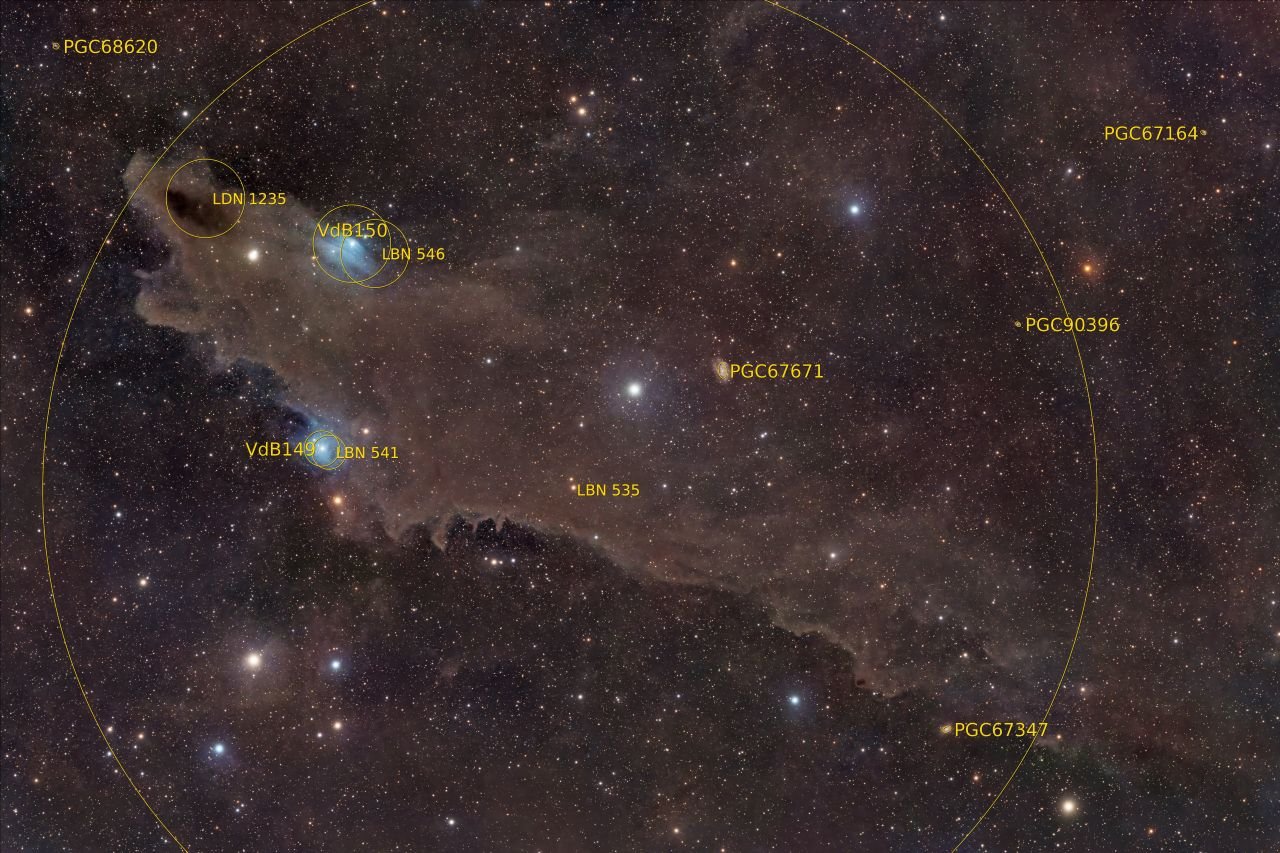Une image annotée de la nébuleuse du Requin révélant l'emplacement de plusieurs objets du ciel profond qui composent le grand prédateur - ©Ronald Brecher
