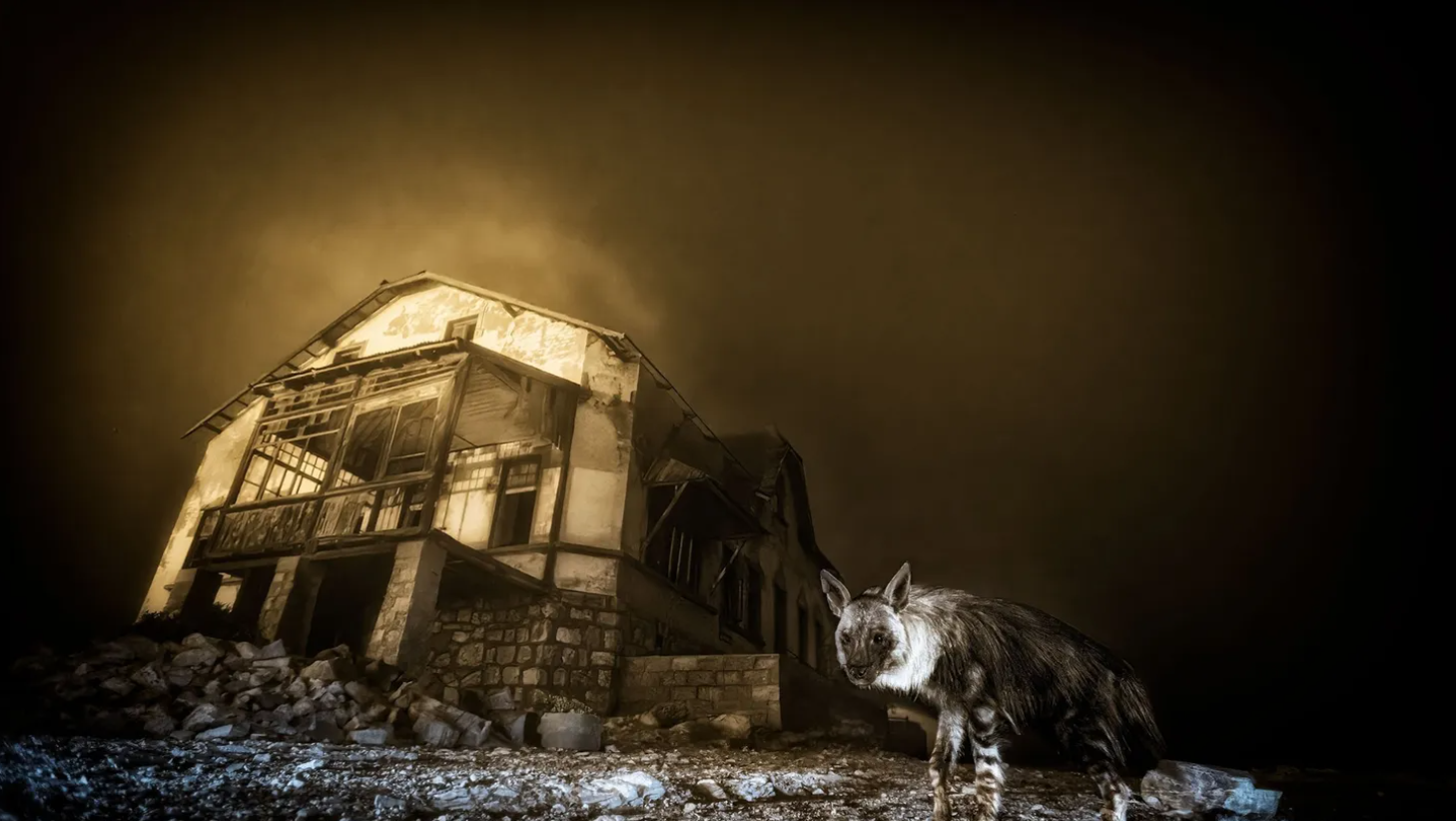 Le cliché en question. Saisissant, n'est-ce pas ? © Wim van den Heever