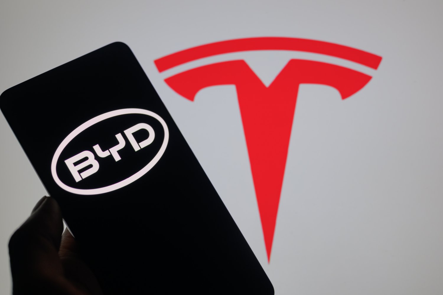 Les logos de BYD et Tesla. © JRdes / Shutterstock