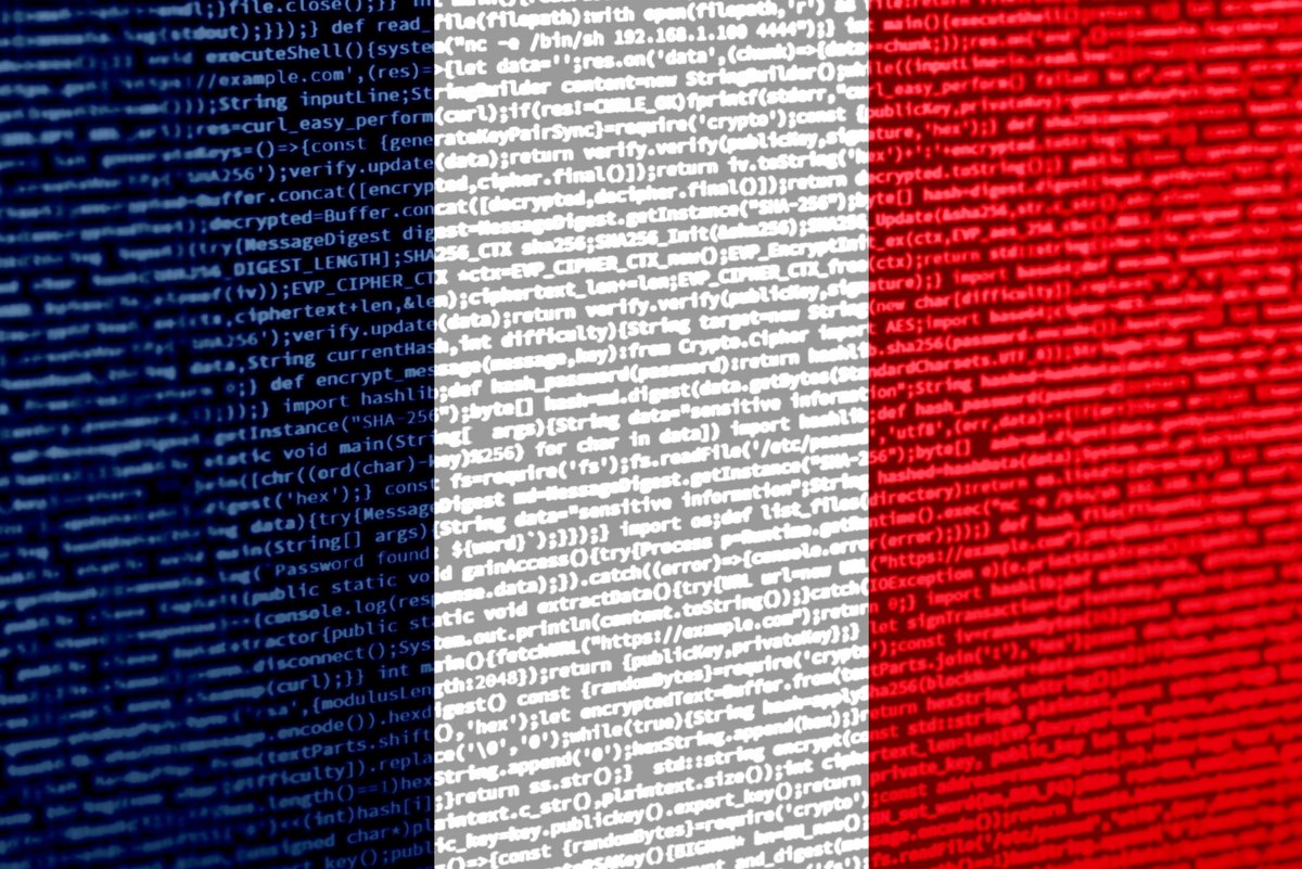 La France accueille une entreprise cyber canadienne dans celles certifiées par ses soins © mr_tigga / Shutterstock