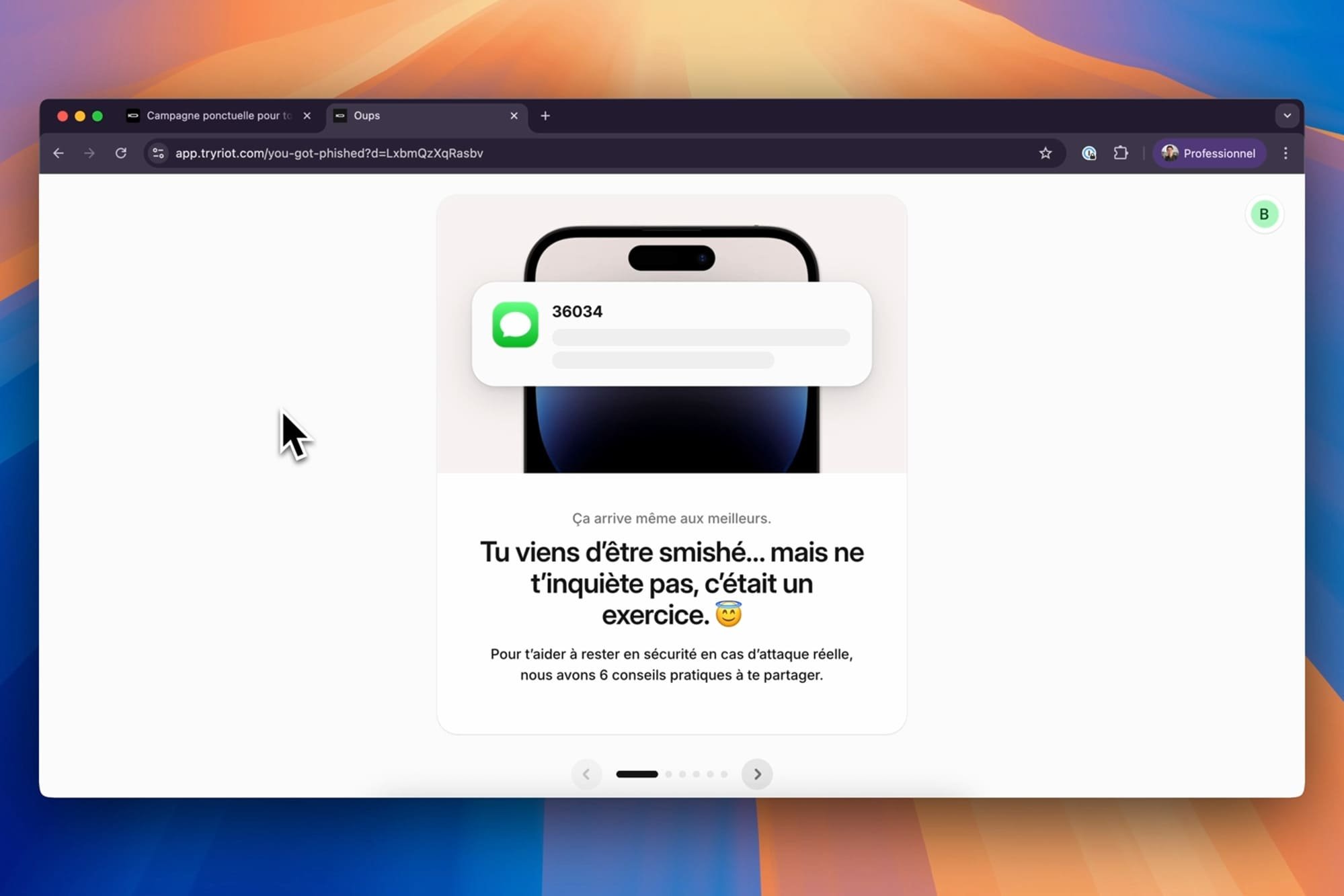 Voici ce qui s'affiche une fois qu'un utilisateur a été piégé par Riot, qui va ensuite le guider étape par étape vers une meilleure hygiène cyber. © Riot