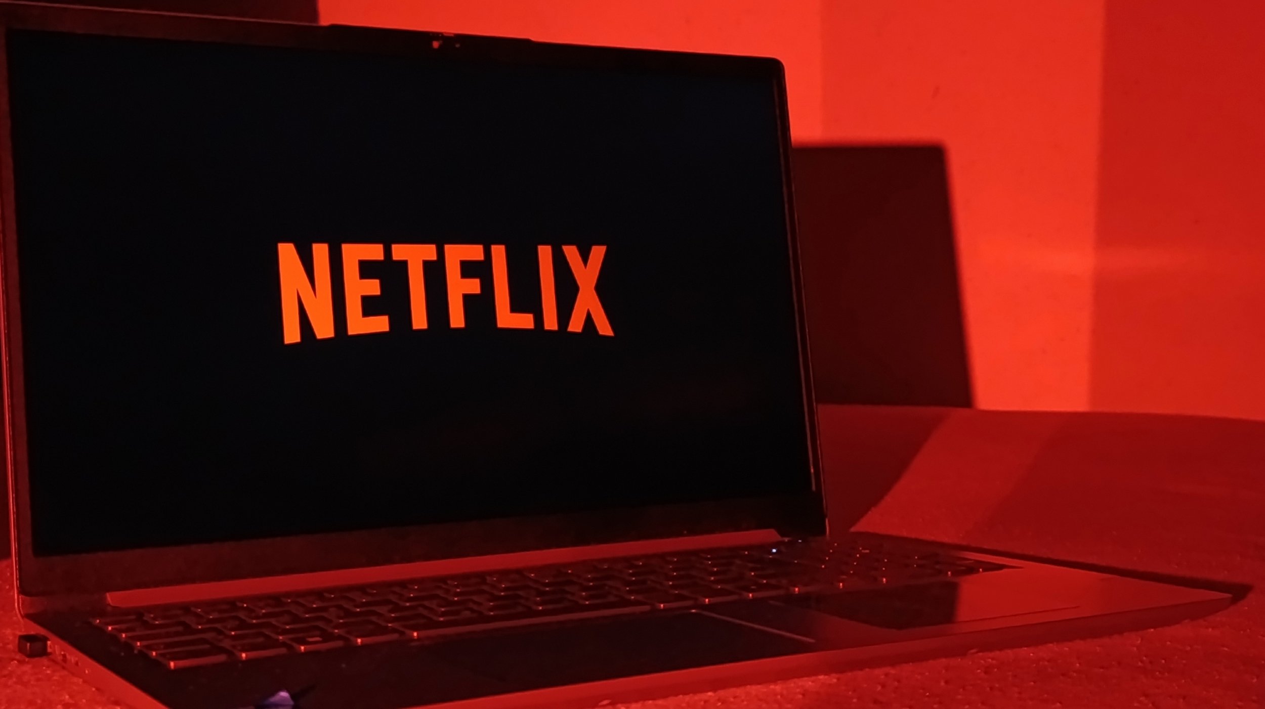 Netflix dépose un recours devant le Conseil d'État © RKY Photo / Shutterstock