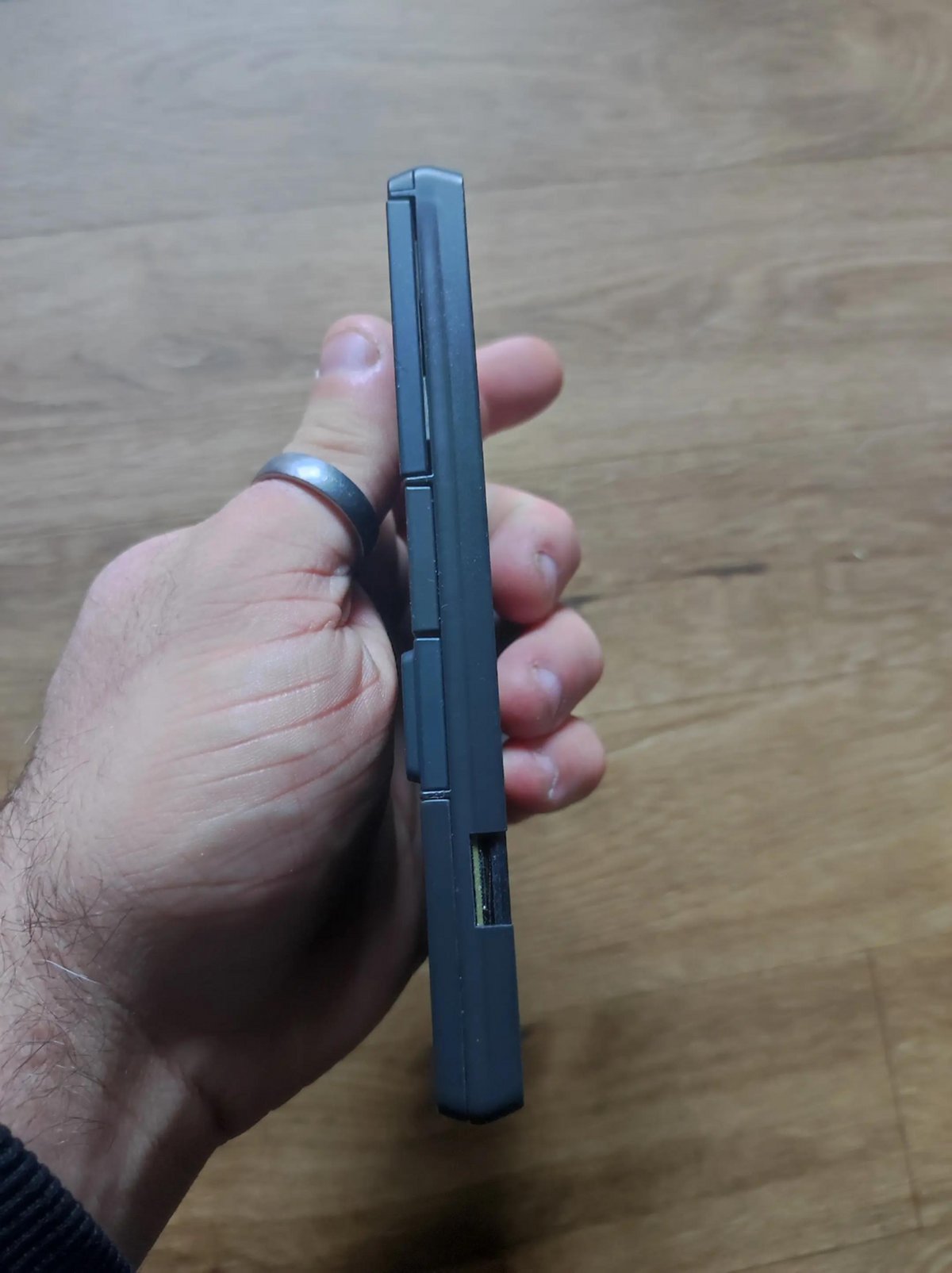 © Tiktok/@racoondetectionsquad