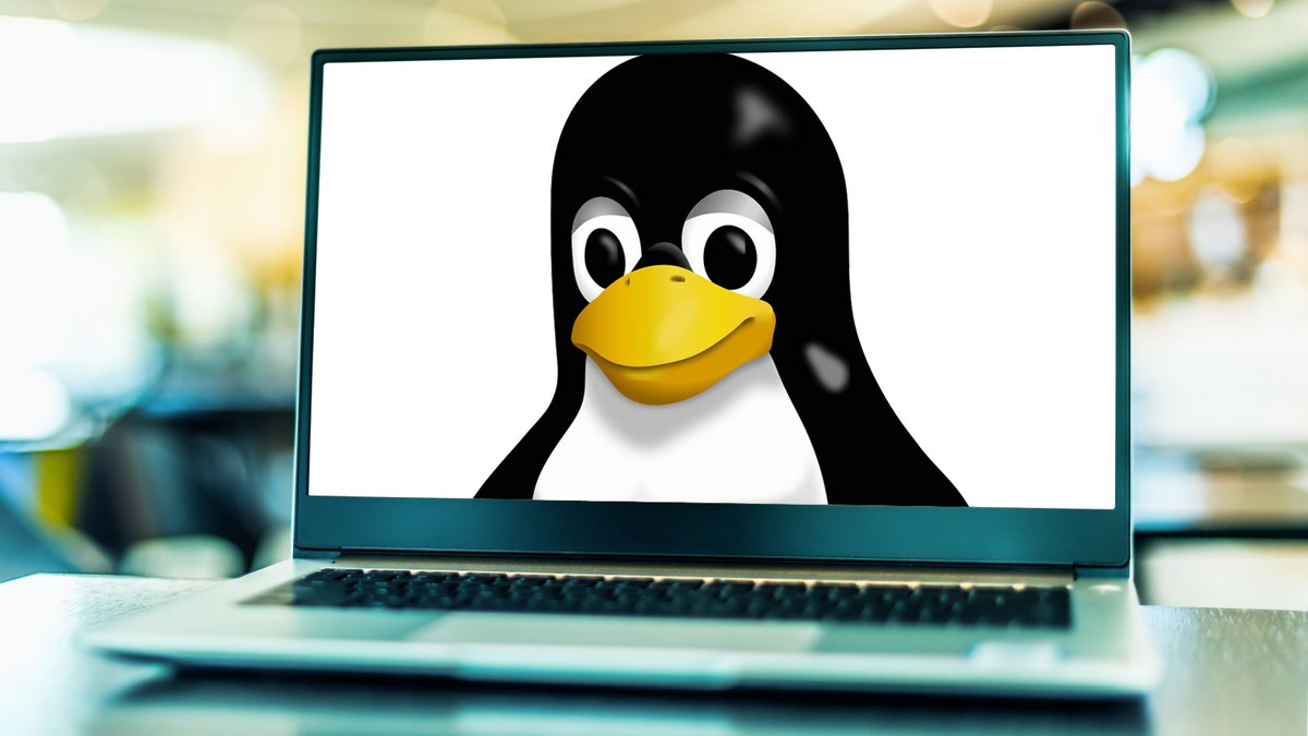 Le système d'exploitation Linux gagne en popularité chez les joueurs PC. ©Clubic