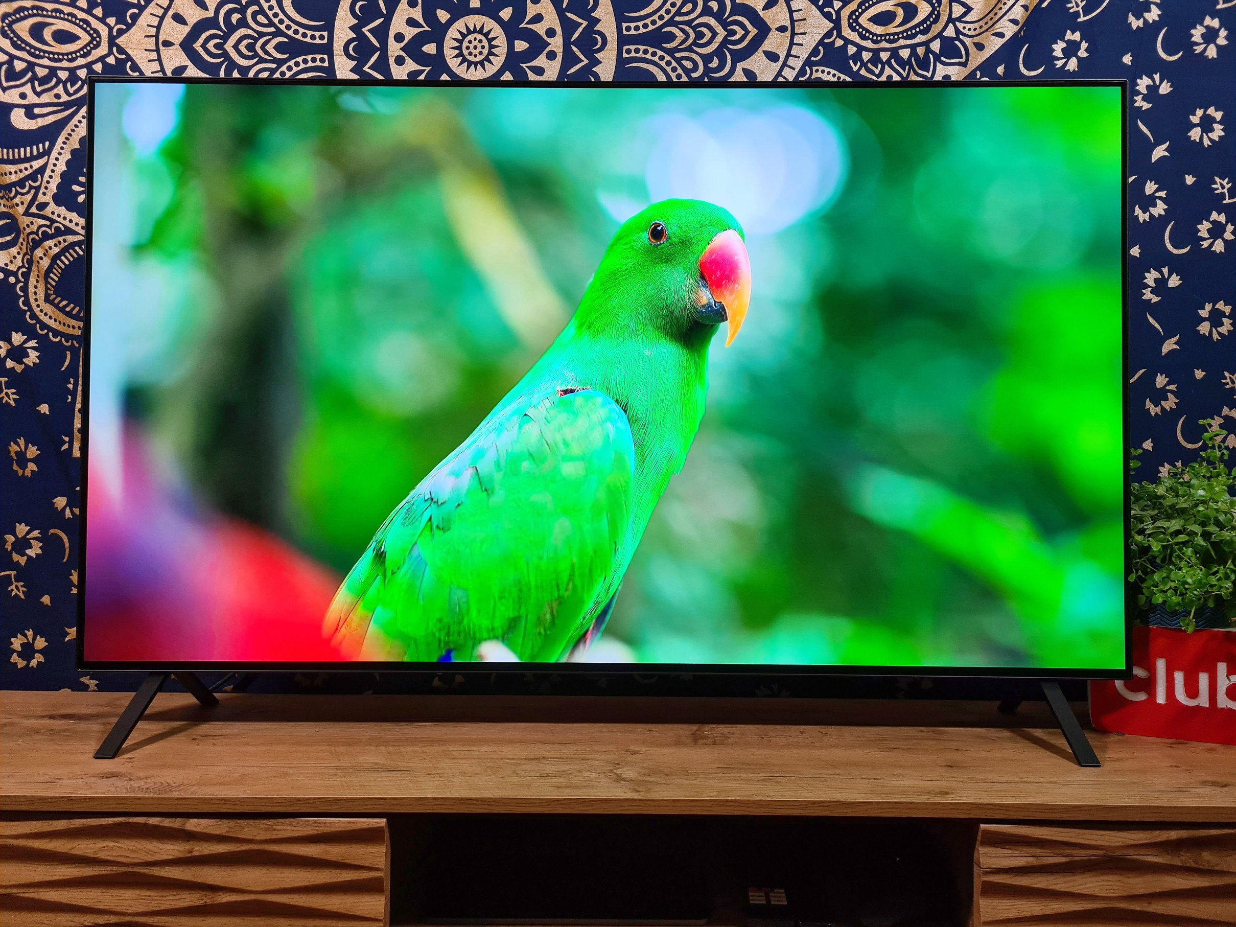 Test LG OLED A2