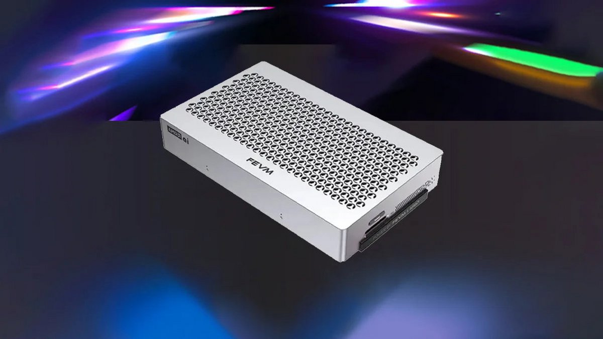 Une petite brique d'à peine 22 centimètres de long pour 13 de large. ©FEVM