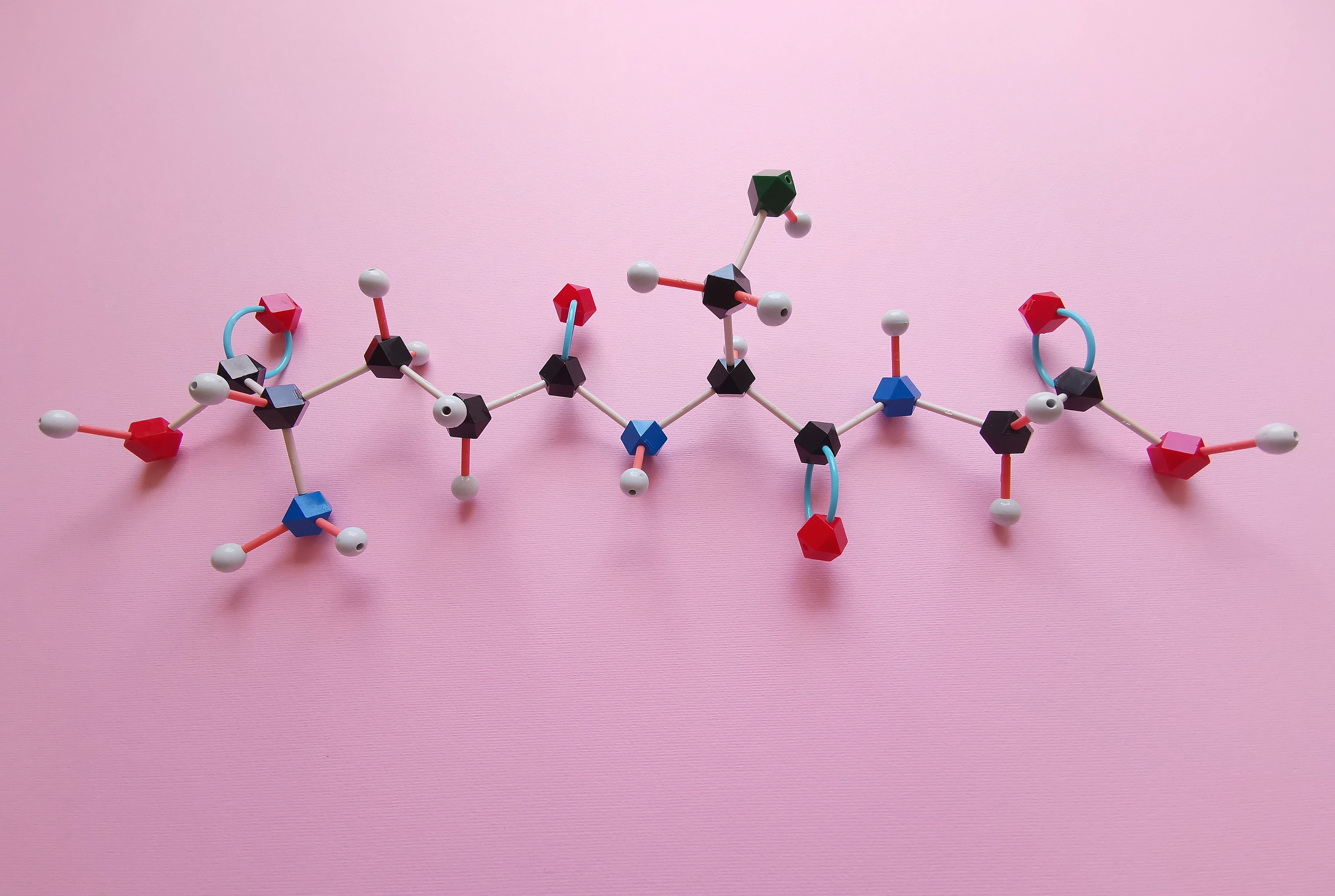 Les protéines sont considérées comme les briques du vivant. © Danijela Maksimovic / Shutterstock