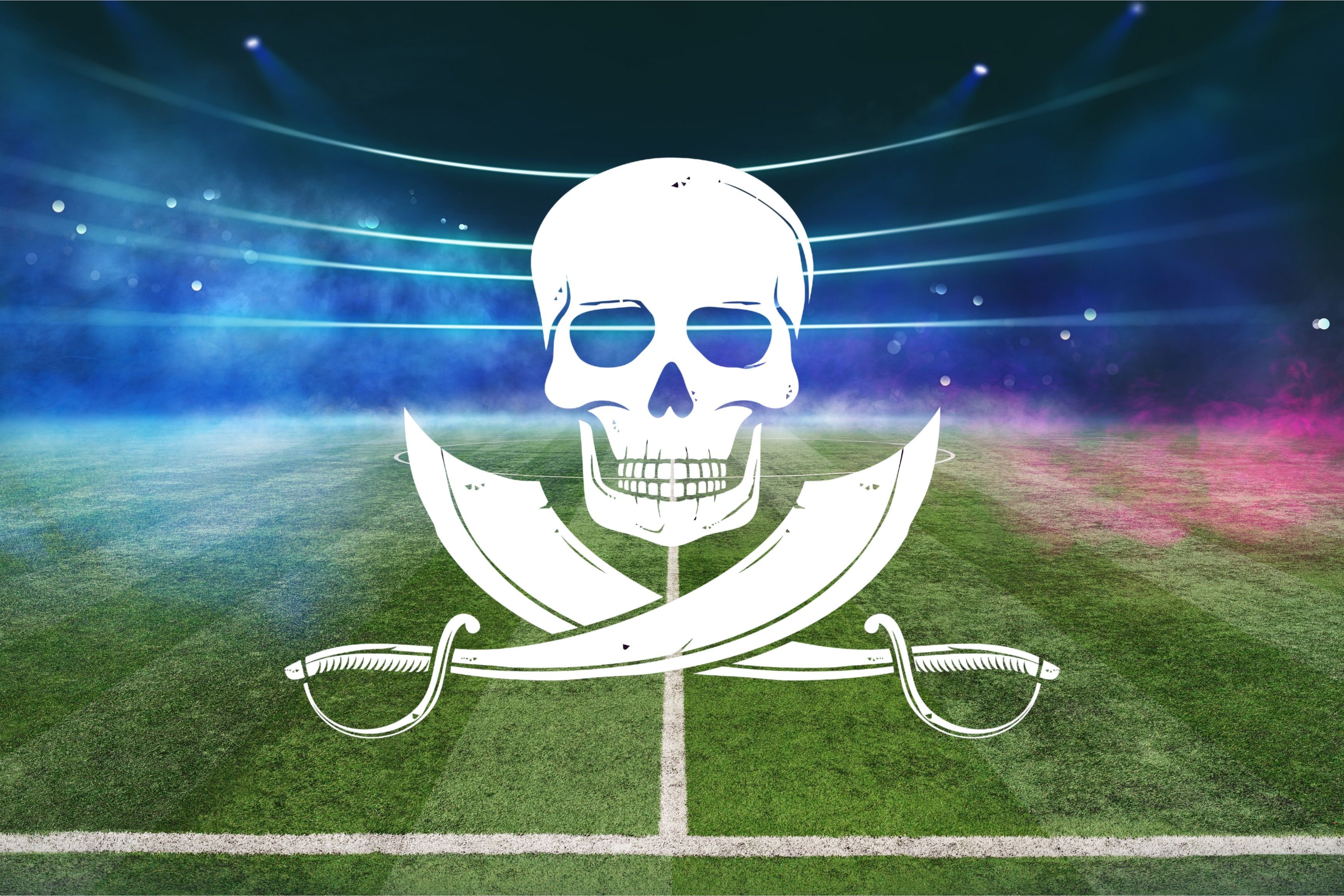 L'Arcom pourrait prochainement disposer de nouvelles armes pour faire face au piratage © Igor Link / Shutterstock