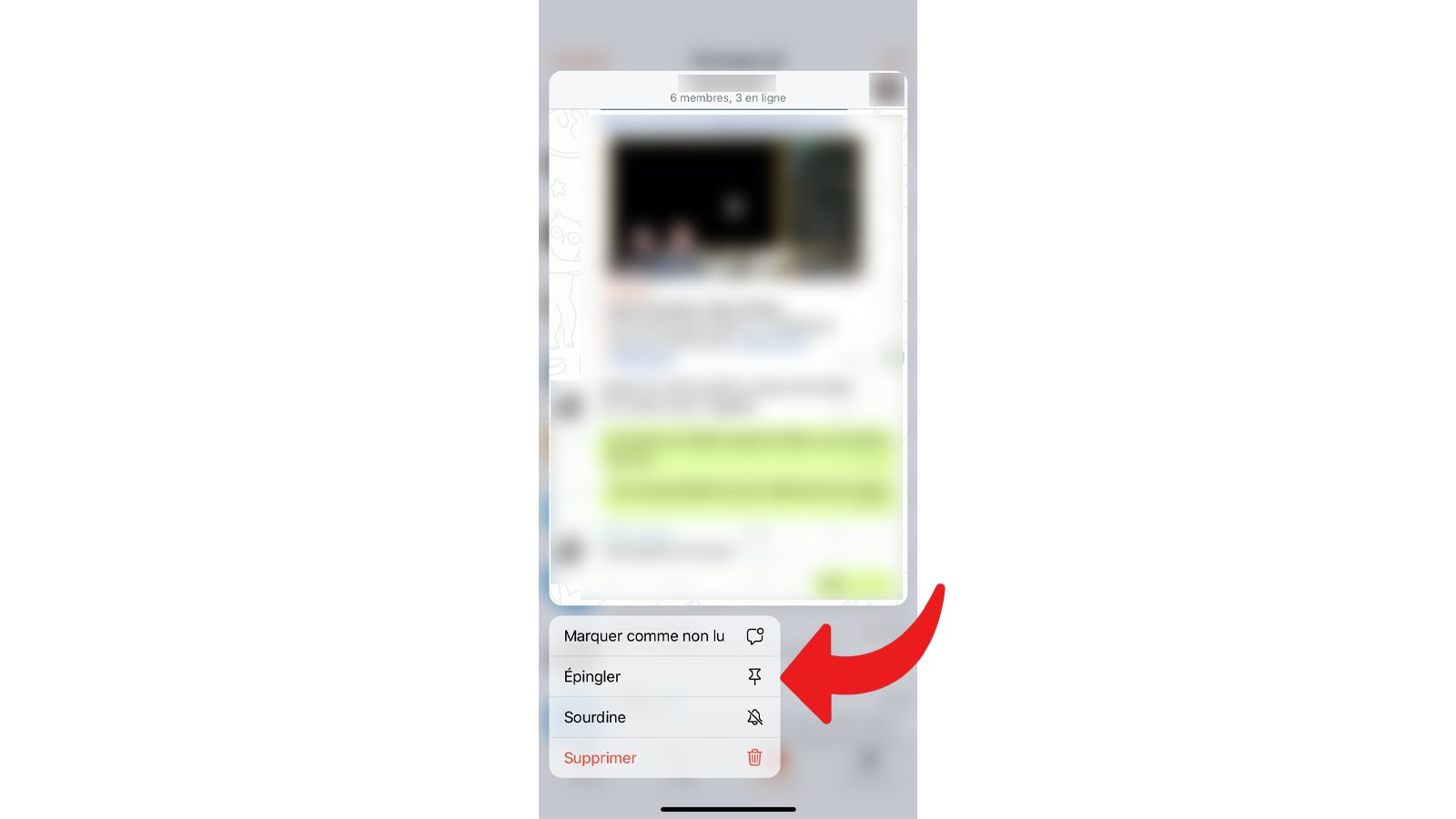tuto telegram épingler conversation