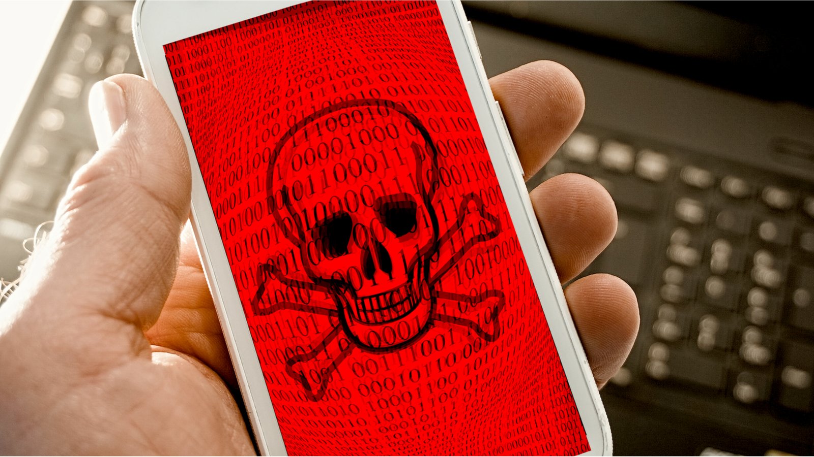 © Aaban / Shutterstock