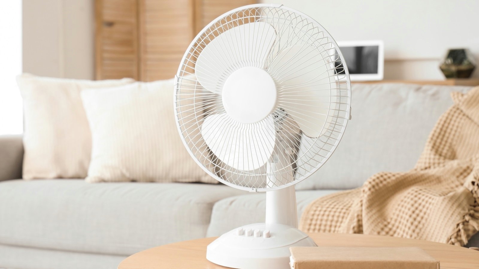 Le ventilateur est un allié simple à mettre en place, mais pas toujours l'outil idéal. ©Pixel-Shot / Shutterstock