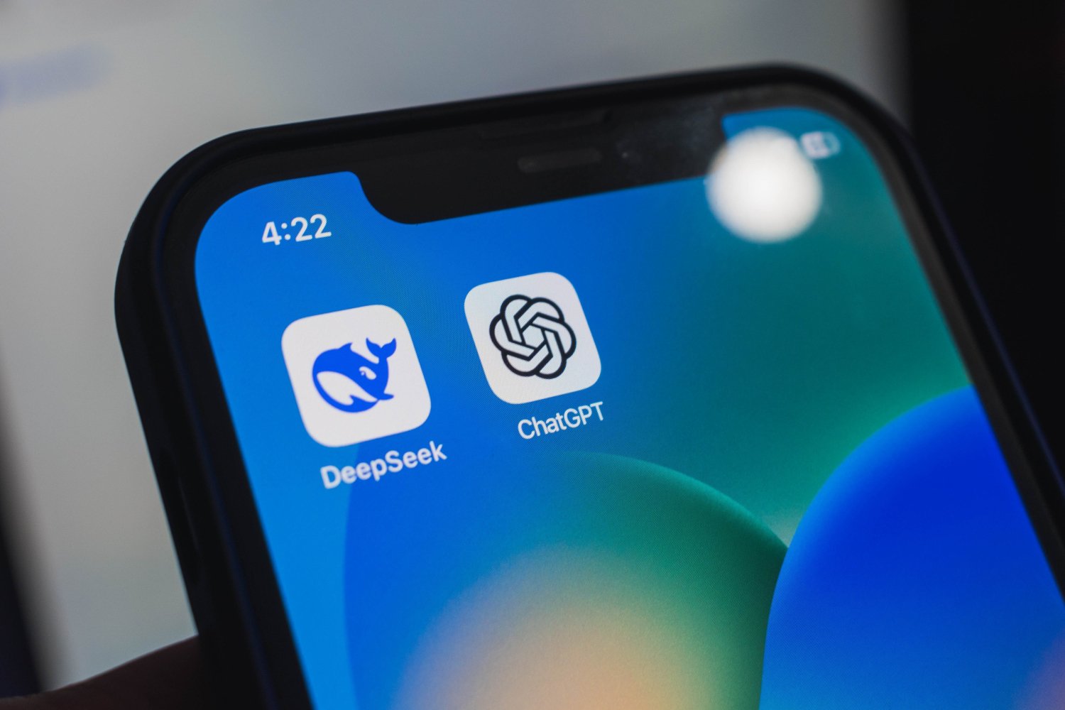 © Urbano Creativo / Shutterstock