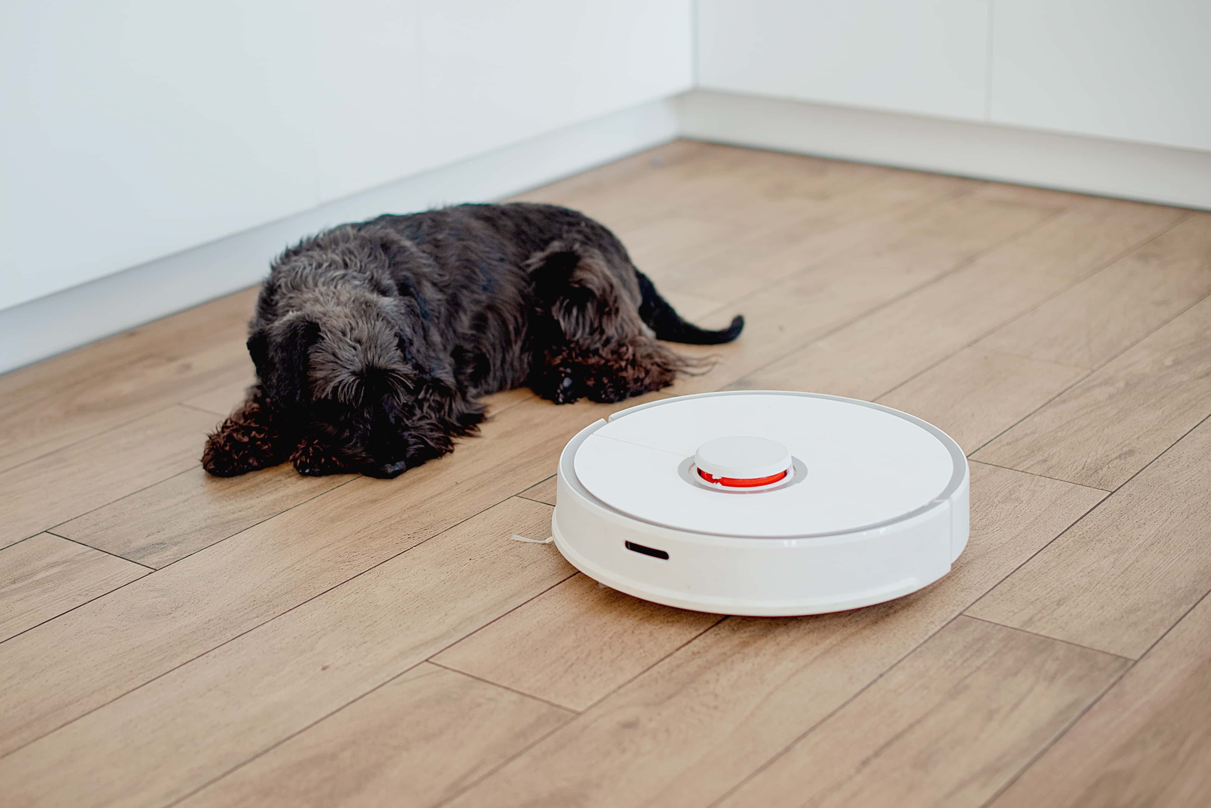 aspirateur robot pour poils d'animaux