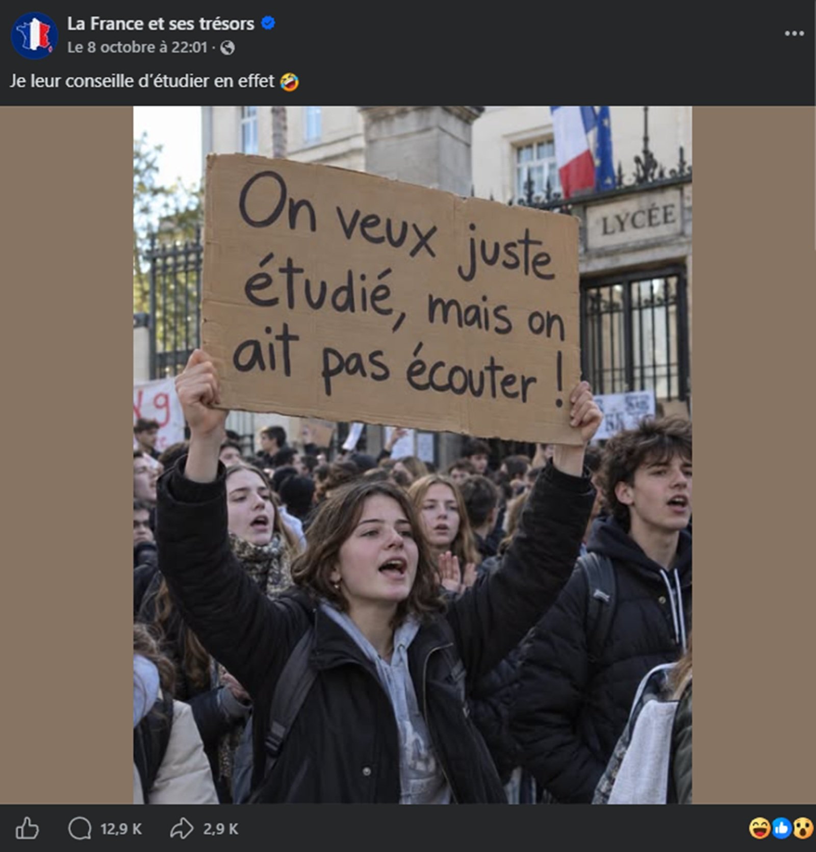 Avant l’« acte V » du 13 octobre, le compte « La France et ses trésors », suivi par plus de 700 000 personnes sur Facebook, a publié le portrait d’une jeune fille et de sa pancarte « On veux juste étudié, mais on ait pas écouter » - Capture d'écran ©La France et ses trésors / Mélina LOUPIA pour Clubic