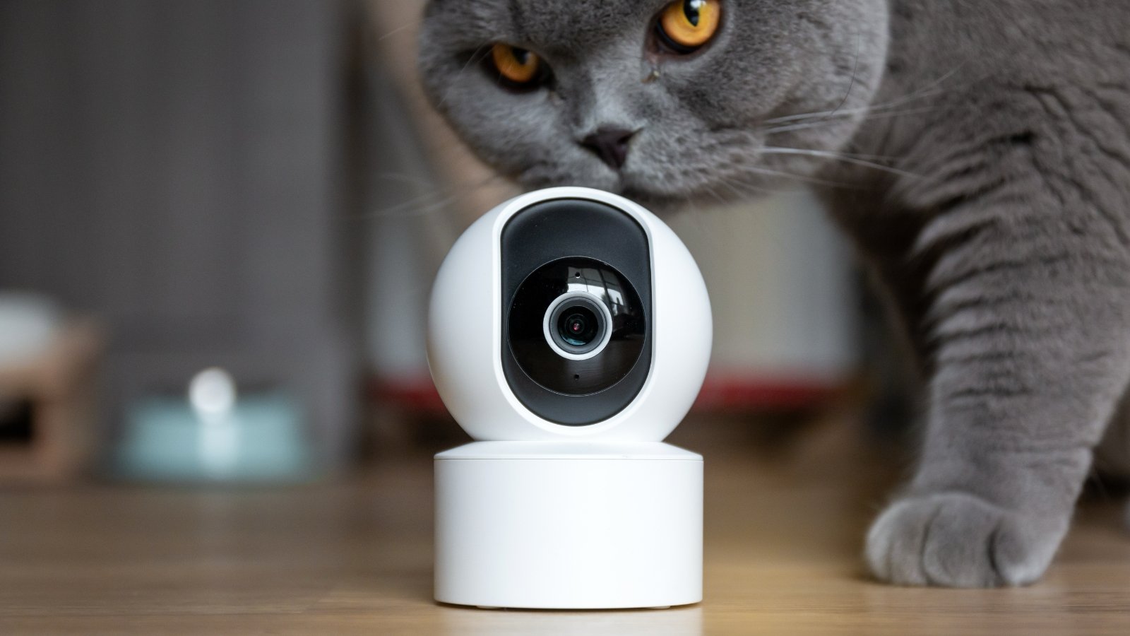 Des notifications plus intelligentes pour vos caméras de surveillance ©Shutterstock.com
