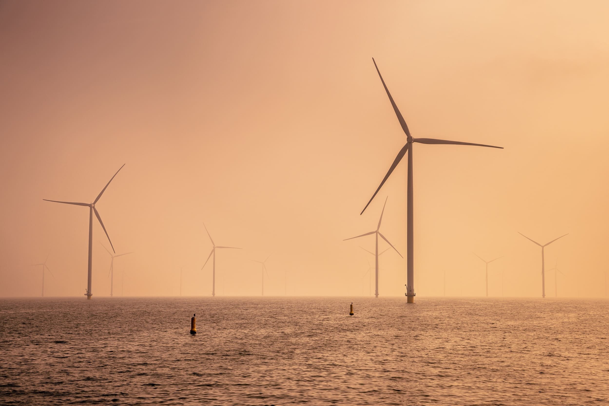 TotalEnergies investit 4,5 milliards dans le plus grand parc éolien français en Normandie © Rudmer Zwerver / Shutterstock