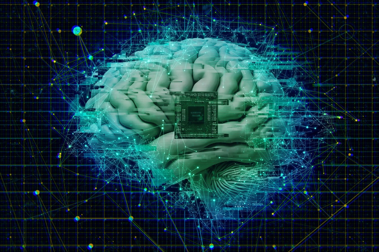 La start-up s'inspire du cerveau humain pour développer des puces d'IA. ©MDV Edwards / Shutterstock