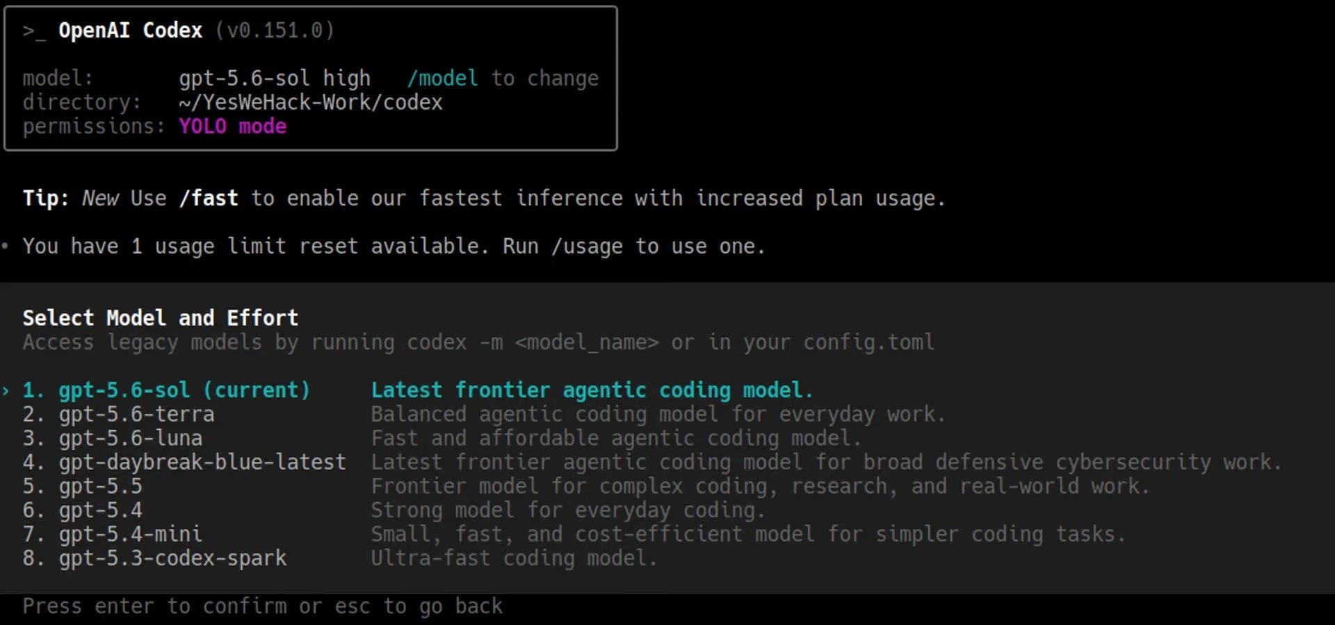 Capture d'écran du terminal Codex, configuré ici sur le modèle GPT-5.6 Sol utilisé lors des tests de YesWeHack. © YesWeHack