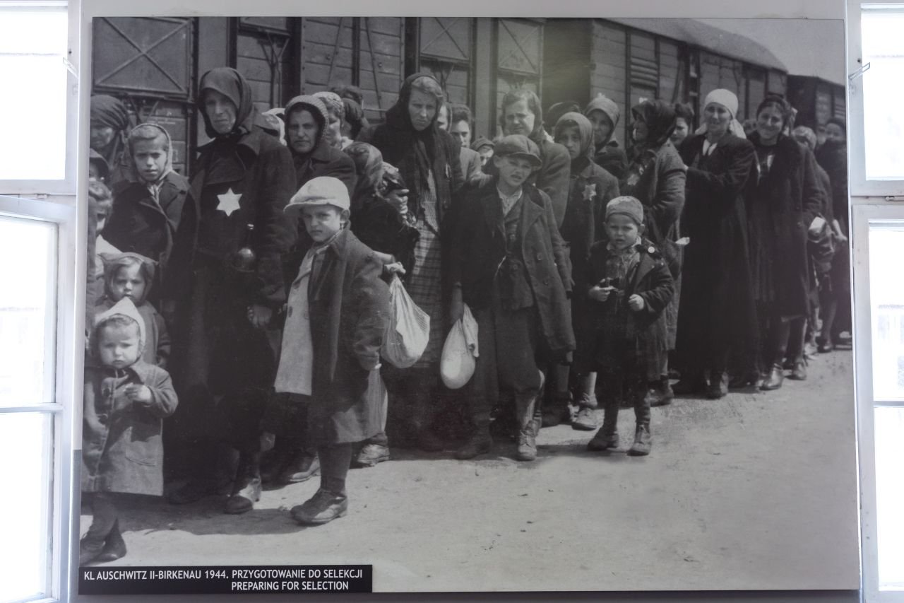 1,1 million de personnes sont mortes à Auscwhitz - ©Sergii Figurnyi / Shutterstock