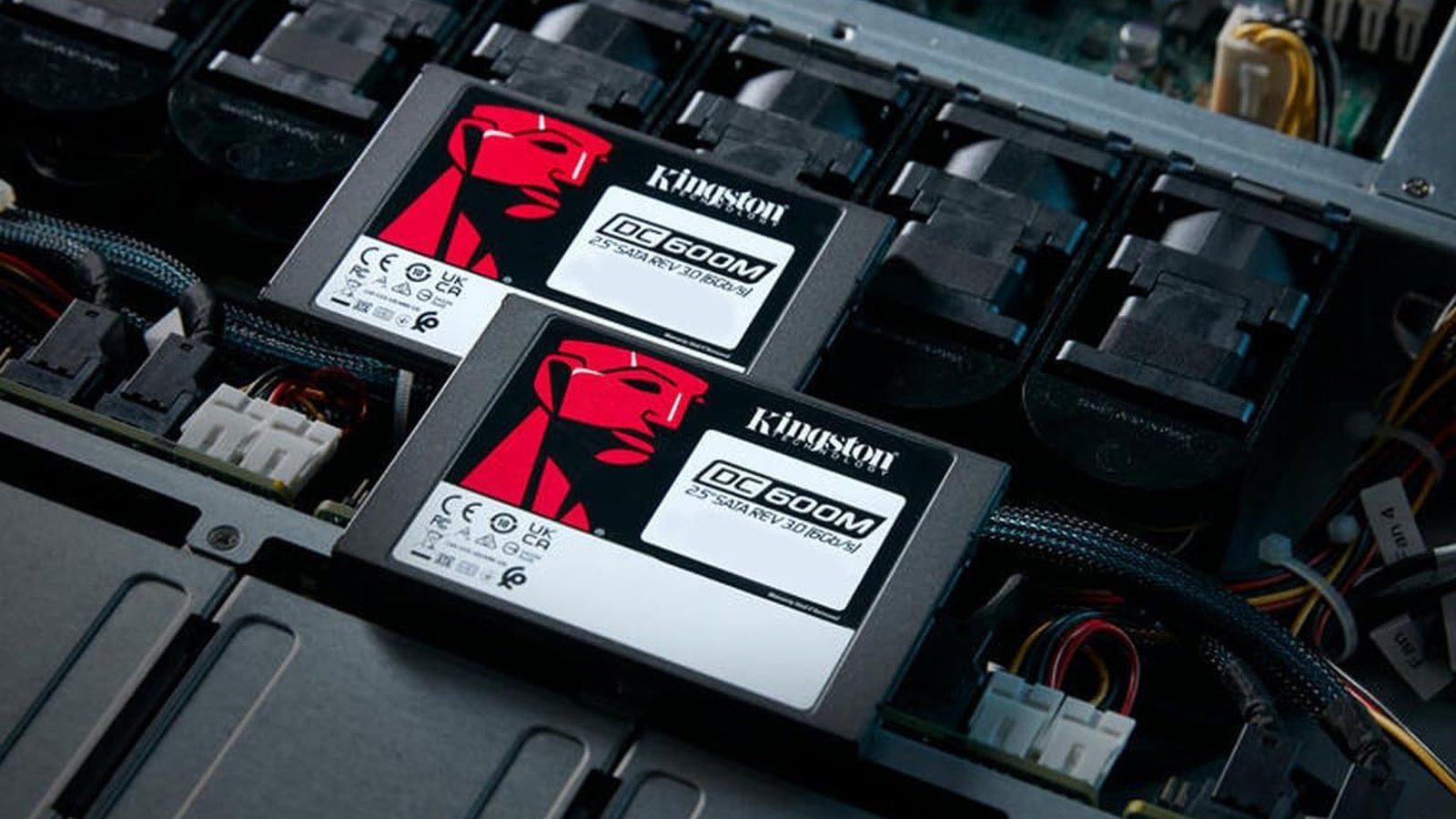 Le DC600M est un SSD d'abord conçu pour le monde de l'entreprise. © Kingston