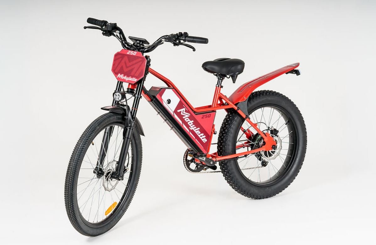 Un revival qui démarre à 2 999€ pour le VAE Mobylette 250 Cross. ©Mobylette/Thoonsen