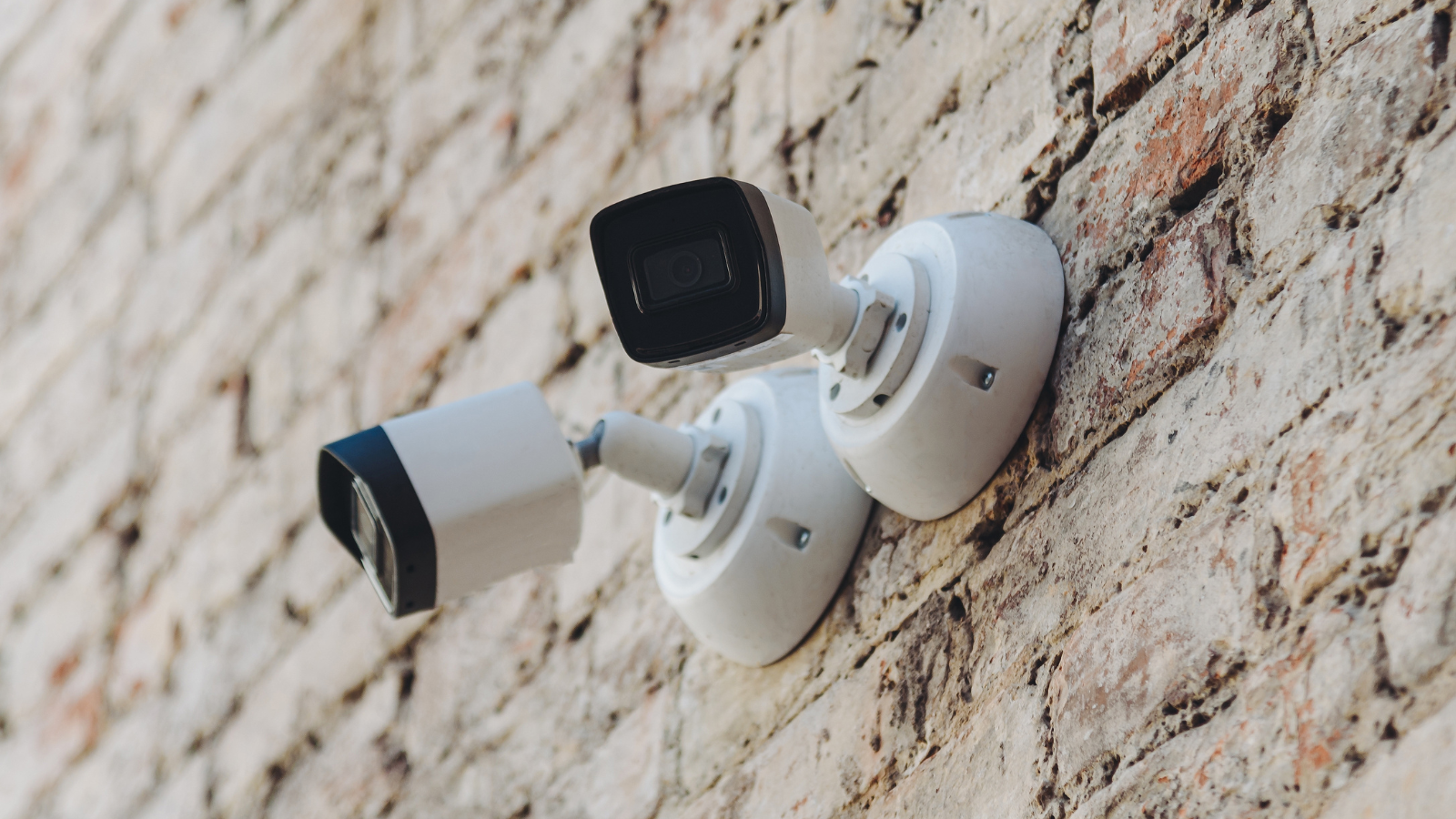 Sector Alarm, Verisure, Homiris, Nexecur : quel choix de télésurveillance en 2026 ? © Shutterstock