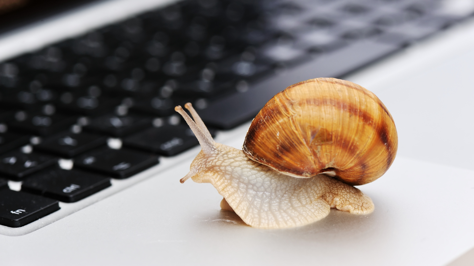 Inutile de changer de Mac : voici la solution à -60 % qui le rend comme neuf © ShuuterStock