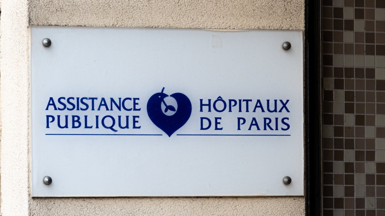 Ce décompte est provisoire, car les pirates revendiquent sur le forum davantage de patients, ainsi que des comptes de soignants - ©HJBC / Shutterstock