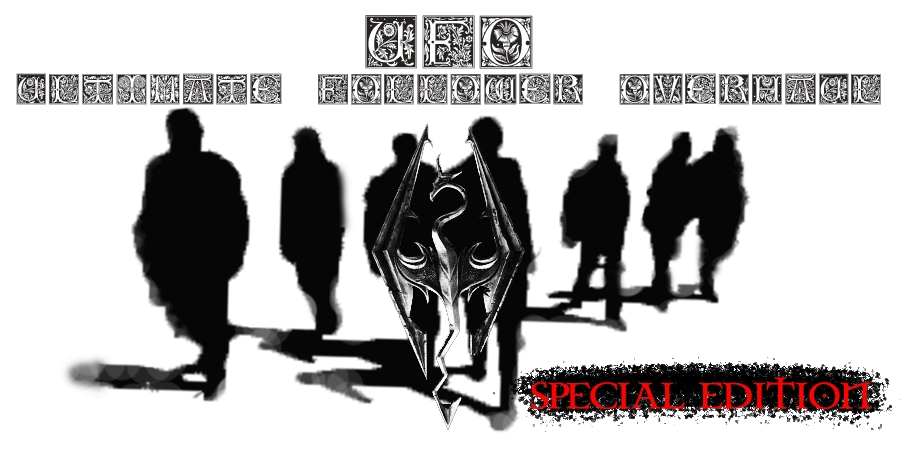 UFO – Ultimate Follower Overhaul SE enrichit l’expérience de Skyrim Special Edition avec une gestion des compagnons plus pratique et plus complète. © fLokii
