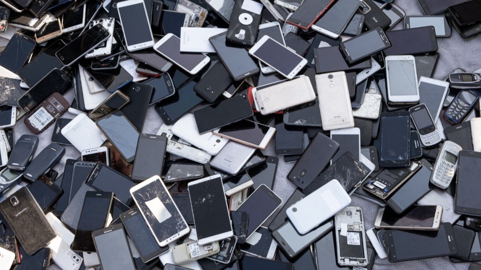 Selon les chercheurs, le principe est d'extraire la carte mère de chaque Pixel usagé, de la monter en rack, puis de la piloter comme un nœud standard sous Linux et Kubernetes©ArieStudio / Shutterstock