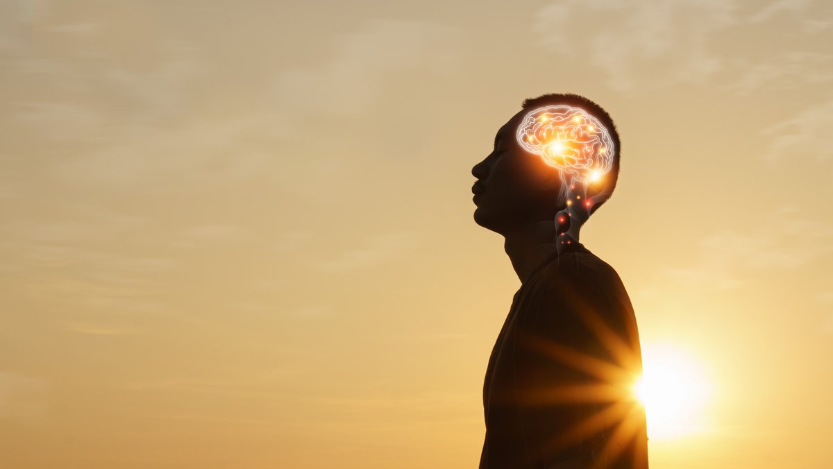 L’intelligence des modèles de langage réside dans leurs performances, pas dans leur compréhension d’eux-mêmes. © earthphotostock / Shutterstock