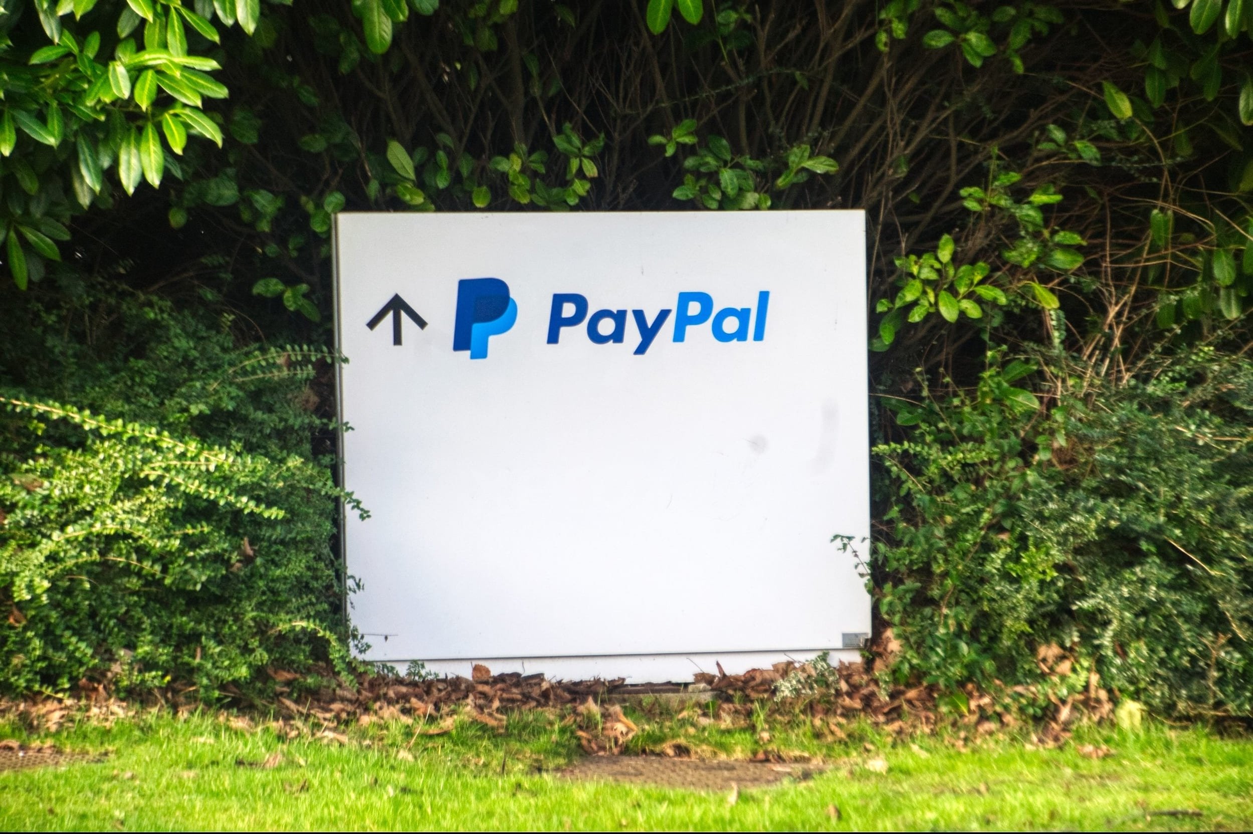 PayPal confirme une fuite de données sur six mois dans son service de prêts aux entreprises. © frank333 / Shutterstock