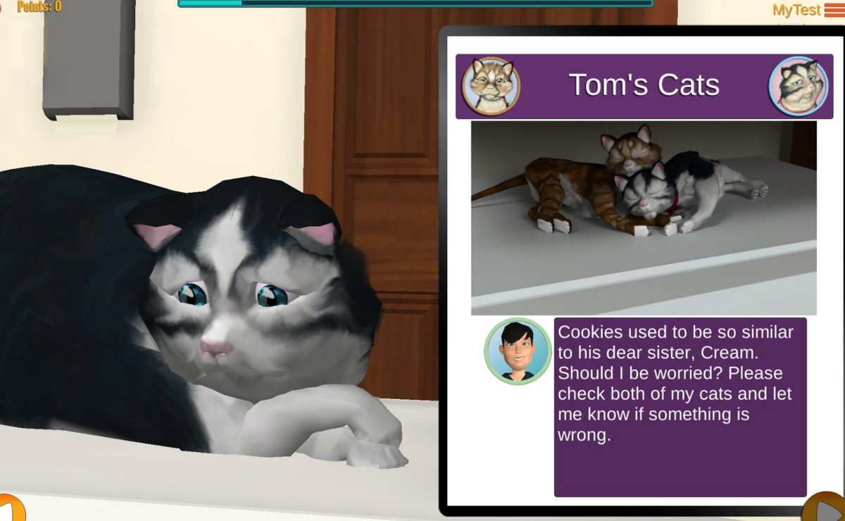 Oui, le jeu est plutôt laid esthétiquement, mais il n'a pas été développé dans ce but-là. © University of Georgia