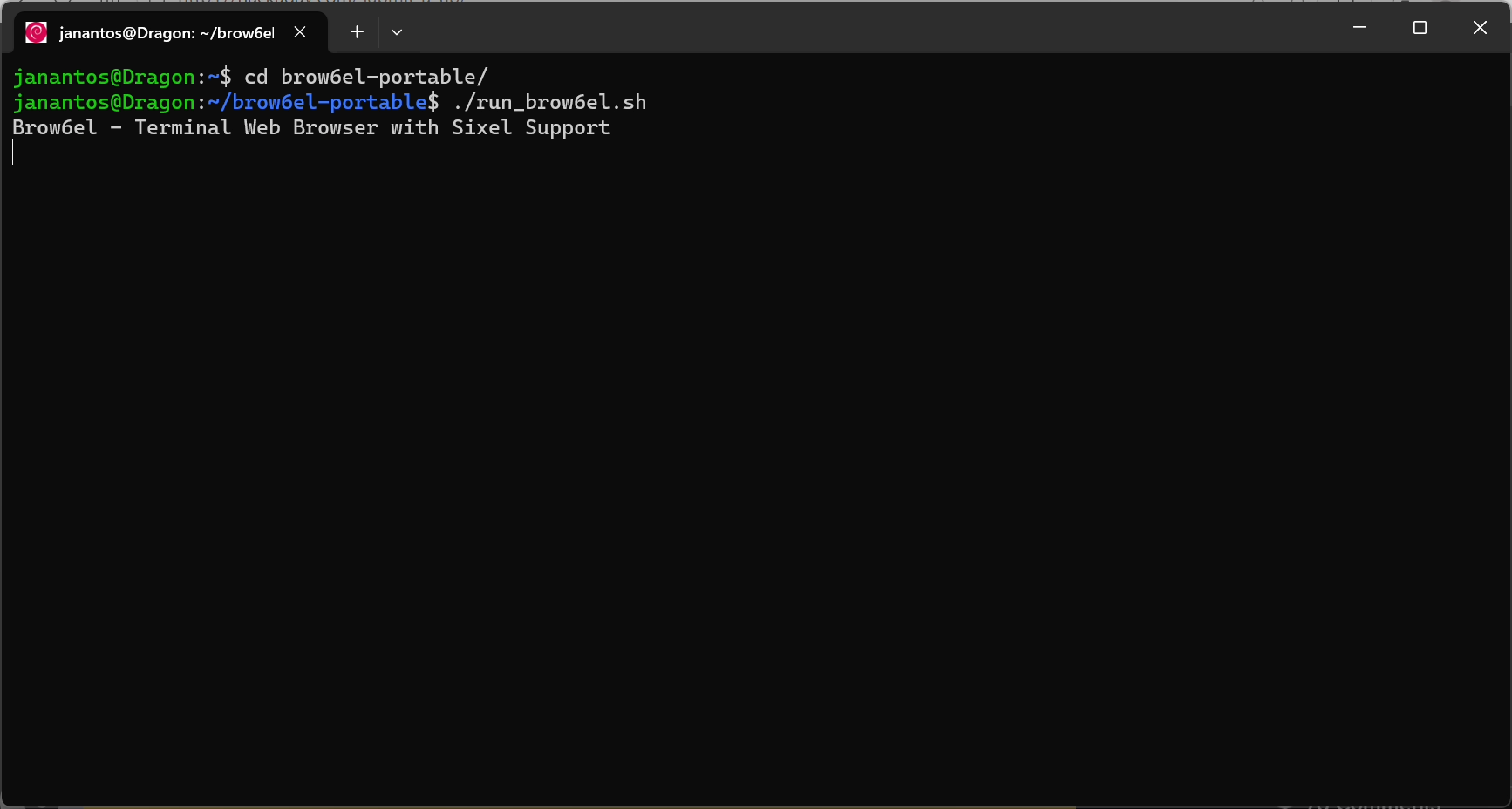 Le futur du Web ne s'écrit peut-être pas en 4K, mais en vert sur noir pour ceux qui osent encore regarder la matrice en face. © Jan Antos