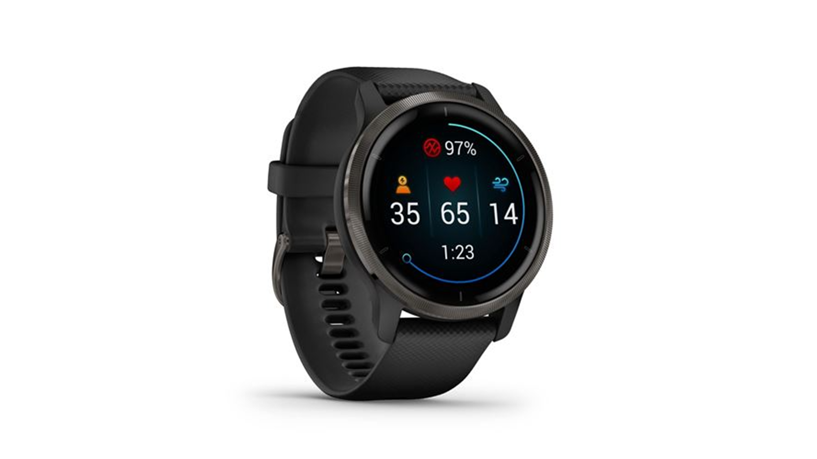 Garmin Collection Venu 2