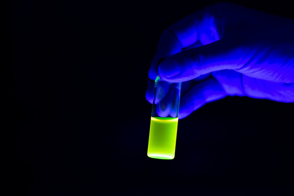 LG prend les devants vers des dalles OLED avec des matériaux exclusivement phosphorescents. ©Souvik Sarkar Photography / Shutterstock