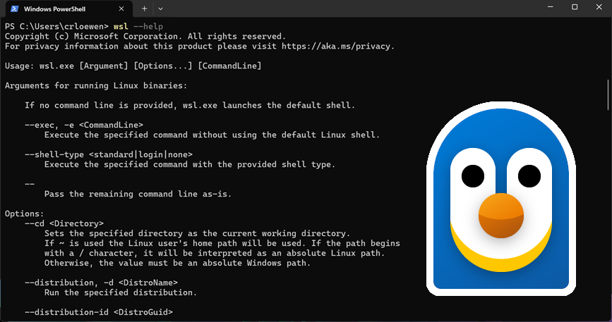 C'est officiel, Microsoft a franchi un nouveau cap dans sa stratégie d'ouverture en rendant le code source de Windows Subsystem for Linux (WSL) public. © Microsoft