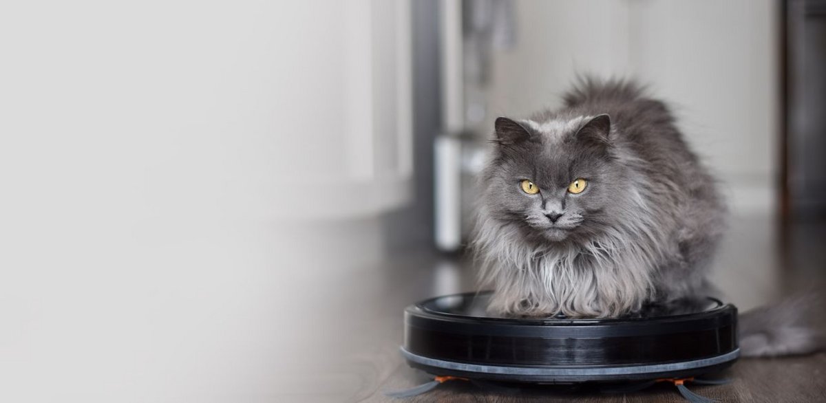 Et si votre aspirateur connecté servait à autre chose qu'à balader le chat tout en nettoyant votre intérieur ? - ©JulieK2 / Shutterstock