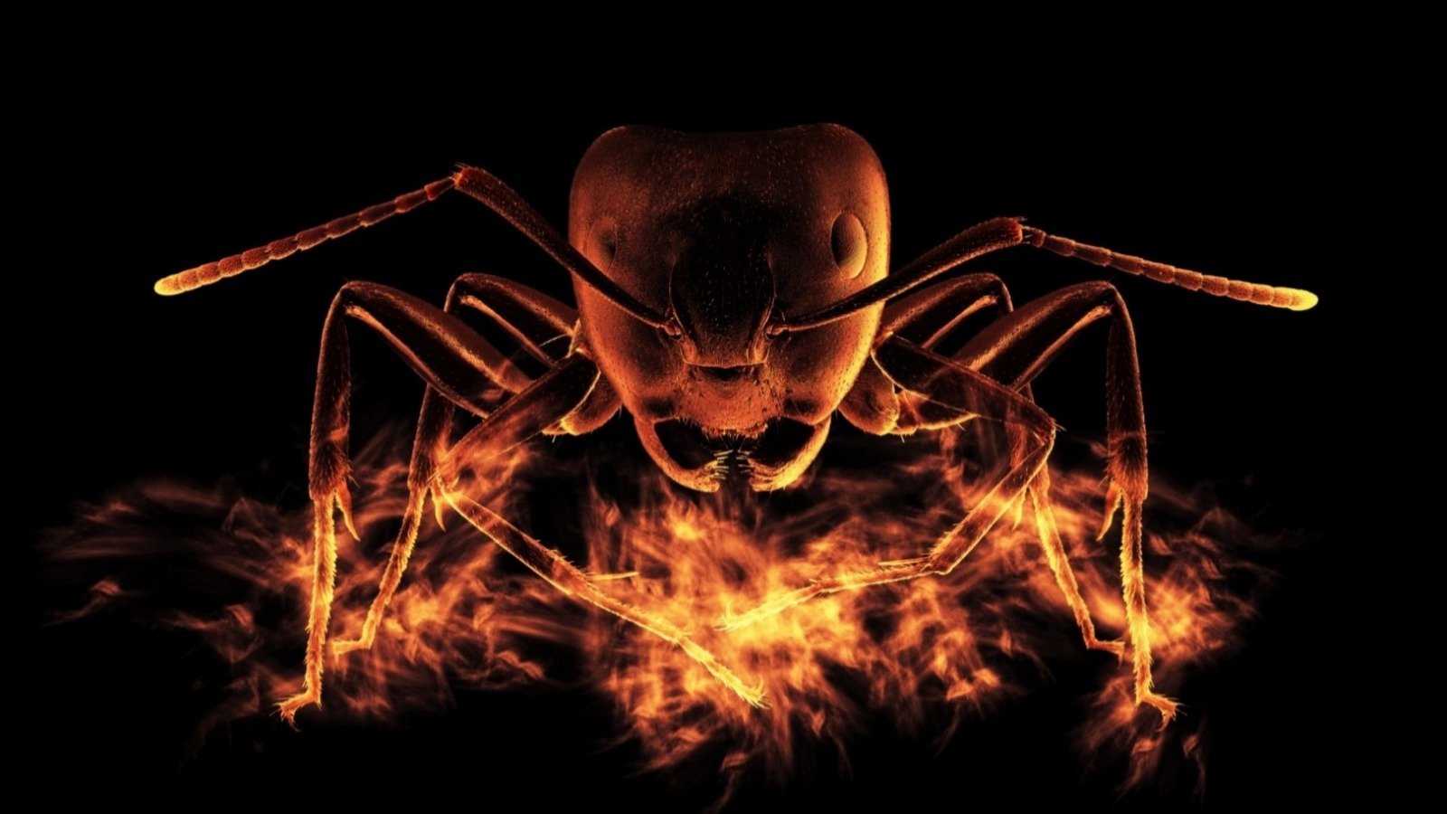 Le groupe Fire Ant, lié à la Chine, installe un dispositif d'écoute permanent sur des routeurs Cisco IOS XR placés au cœur de réseaux d'entreprise - ©Andrey Burmakin / Shutterstock