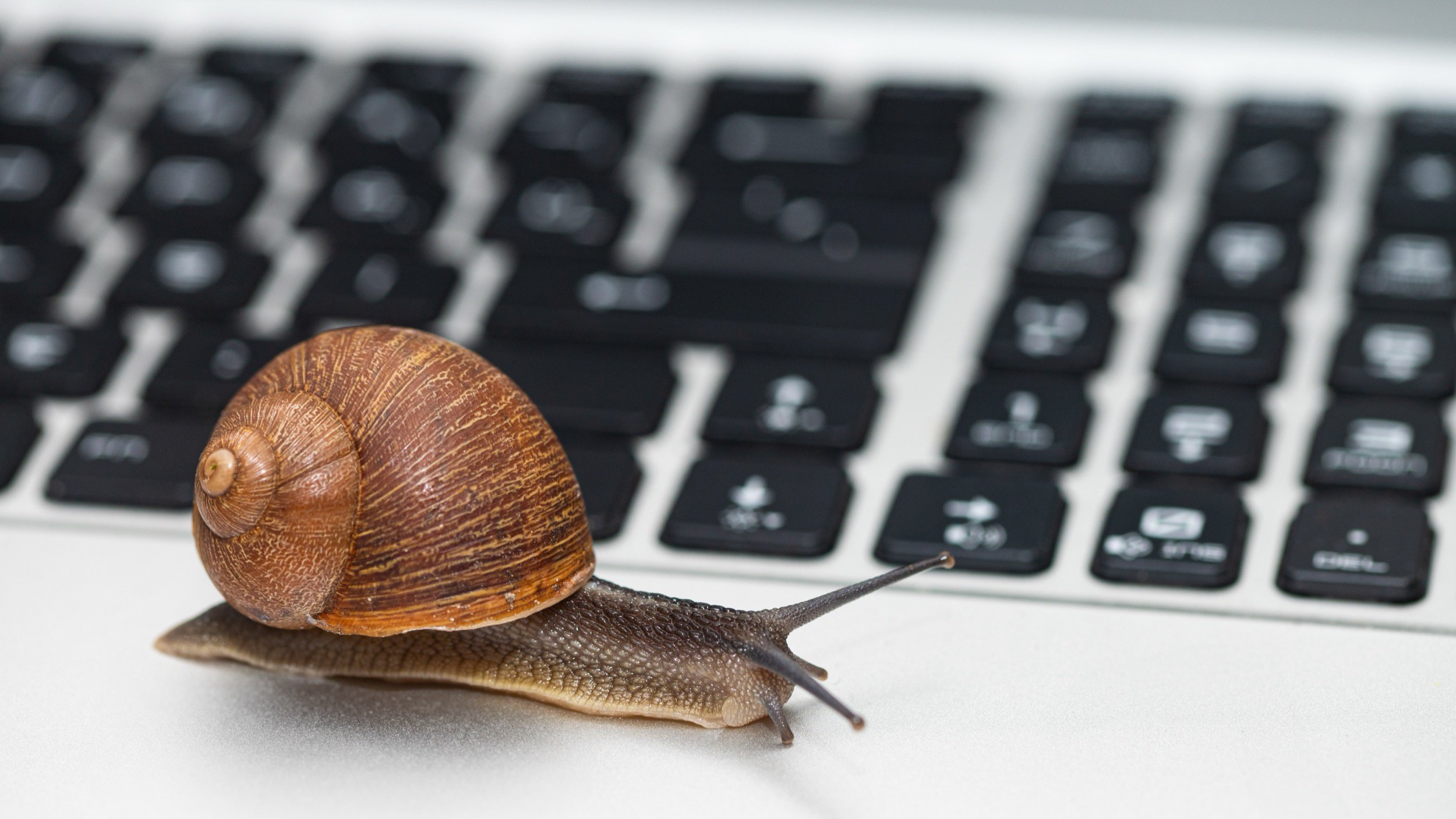 Votre vieux PC mouline après le démarrage ? C’est peut-être à cause de ce service Windows. © TAMER YILMAZ / Shutterstock