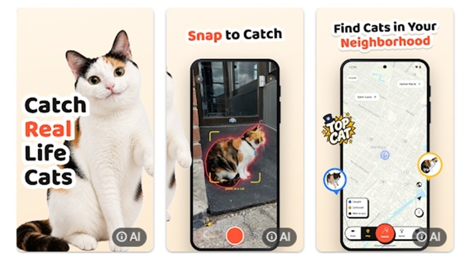 n quelques semaines, les joueurs avaient photographié plus de 33 000 chats dans 134 pays - ©CatCollector