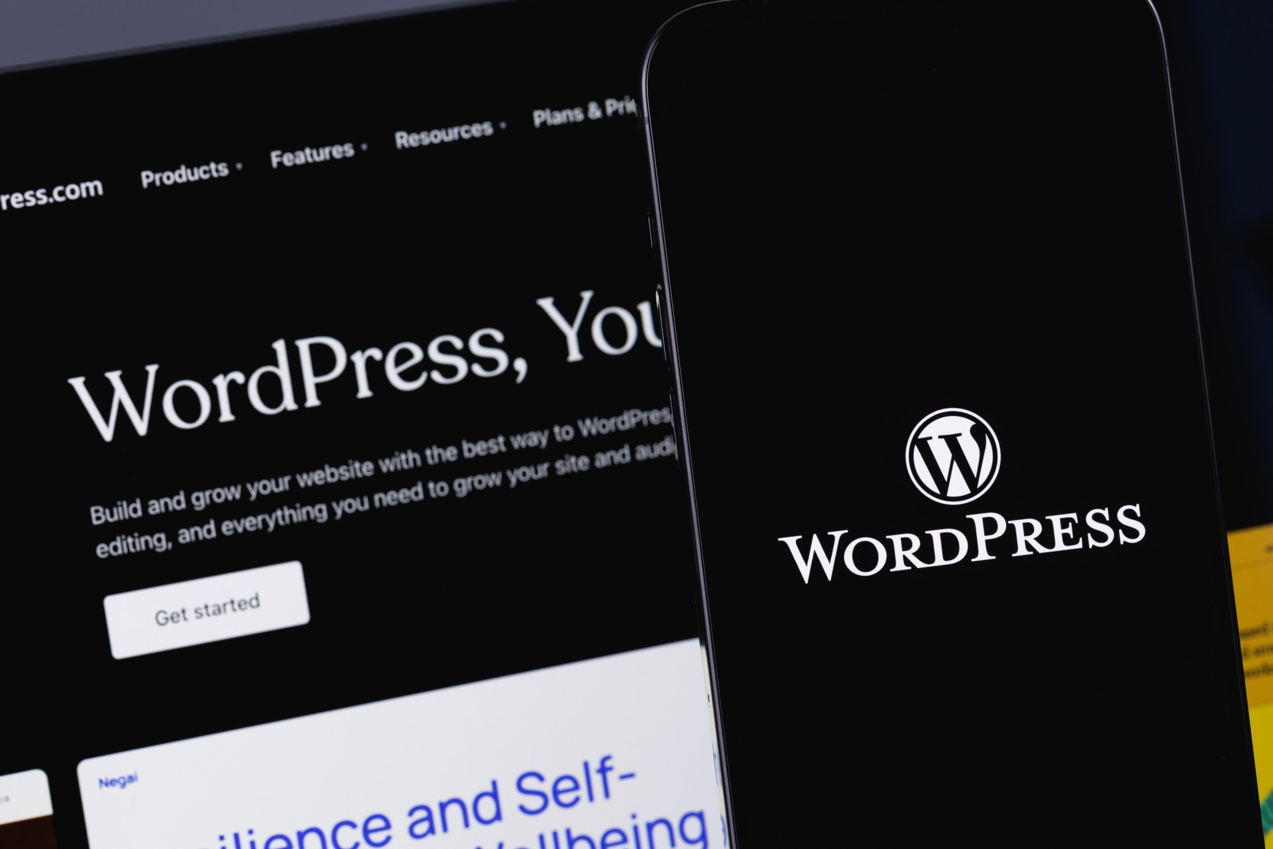 Sans mise à jour, ce plugin Wordpress peut compromettre votre site Web ©Shutterstock
