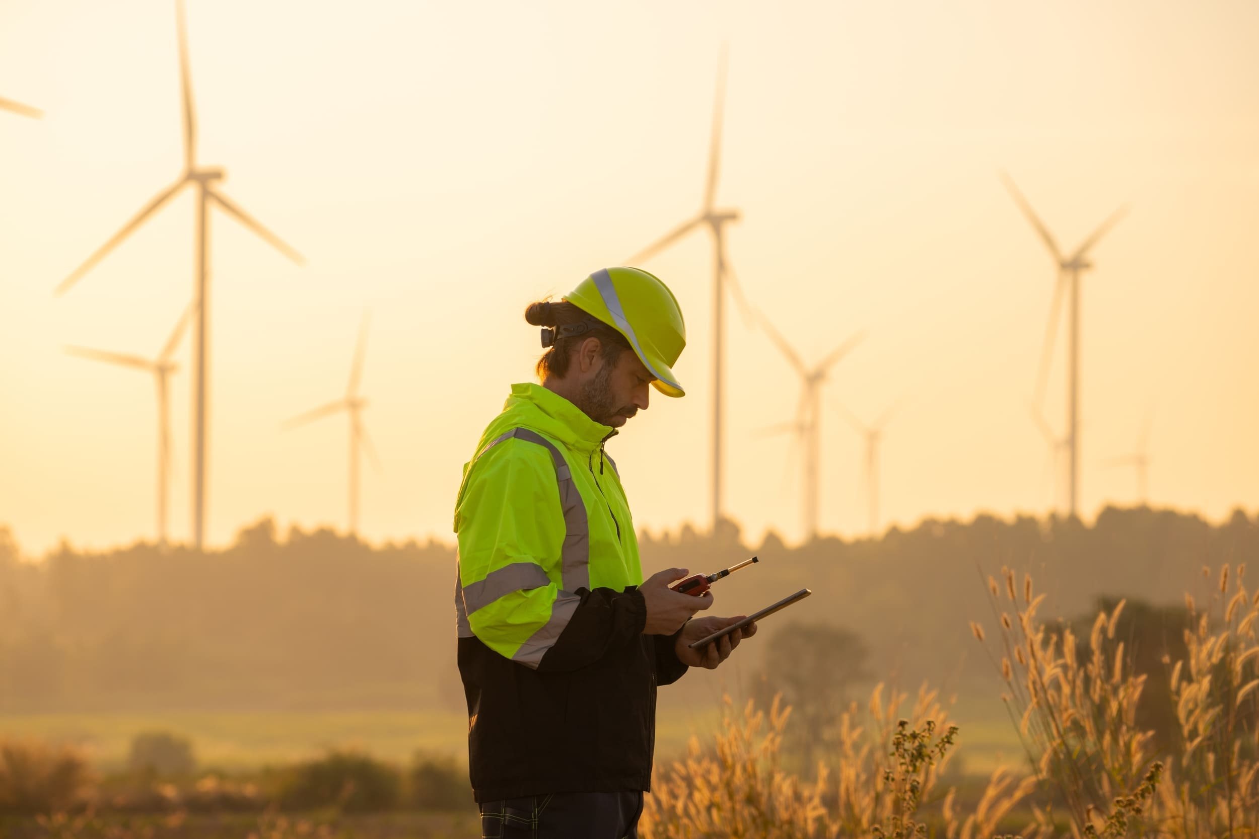 La décision du Conseil d'État sur les nuisances sonores des éoliennes pourrait... faire du bruit. © Nabodin / Shutterstock