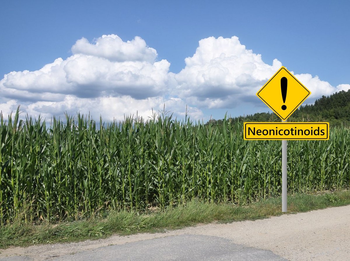 L'acétamipride fait partie de la famille des néonicotinoïdes - ©lantapix /Shutterstock