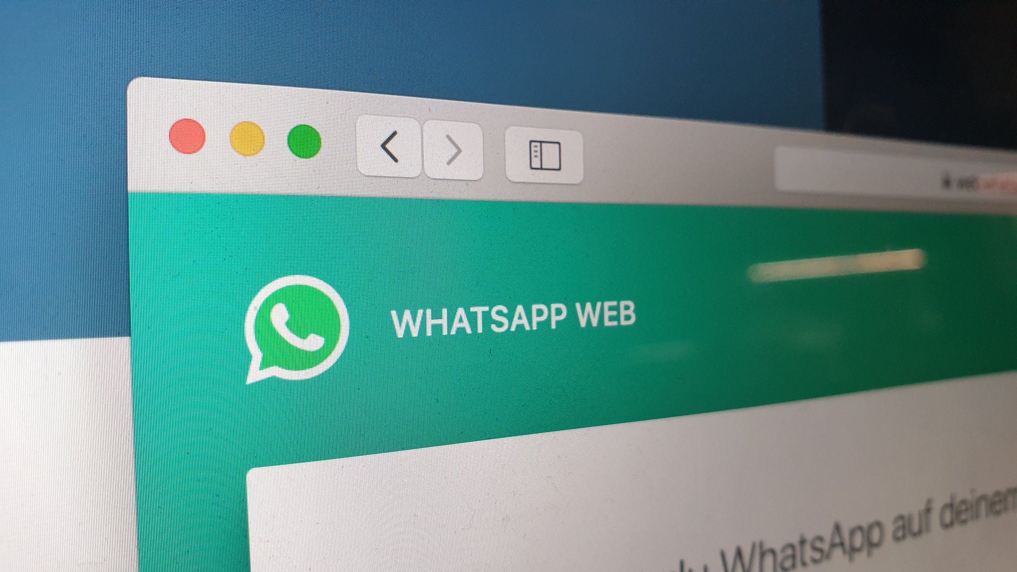 WhatsApp Web s'améliore. © hzrth / Shutterstock