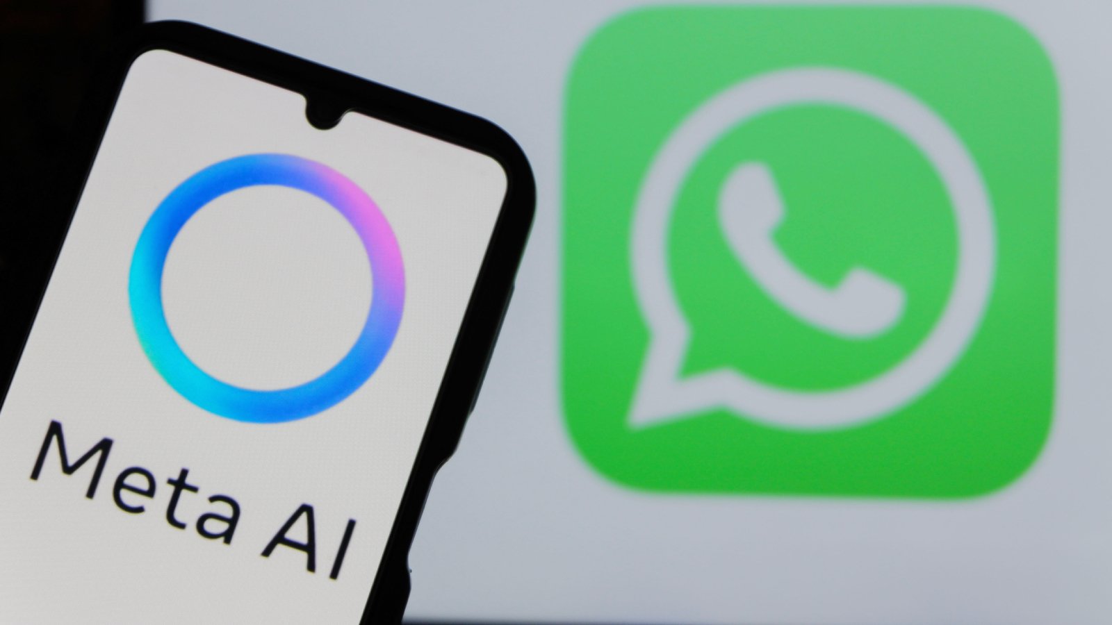 La fonctionnalité ©Algi Febri Sugita / Shutterstock