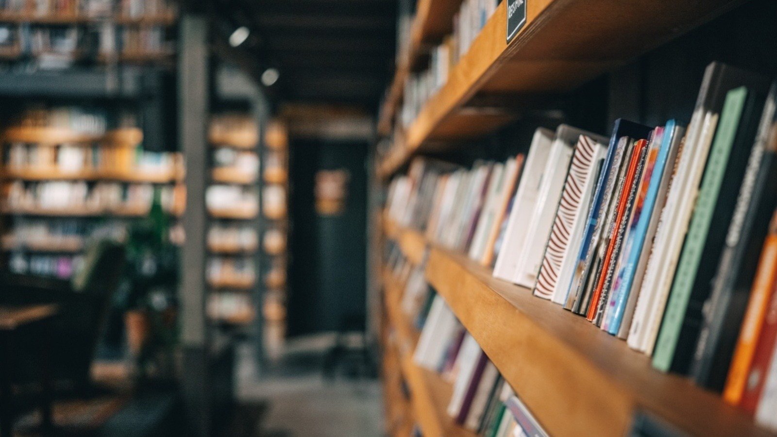 En achetant des exemplaires physiques plutôt qu'en téléchargeant des copies piratées, Anthropic a invoqué le fair use, l'exception qui autorise l'entraînement d'une intelligence artificielle sur des œuvres protégées quand un tribunal juge l'usage transformateur - ©Irina Magrelo / Shutterstock
