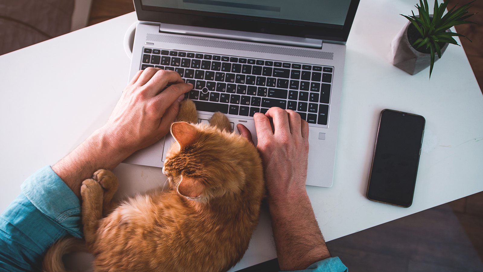 box internet red by sfr